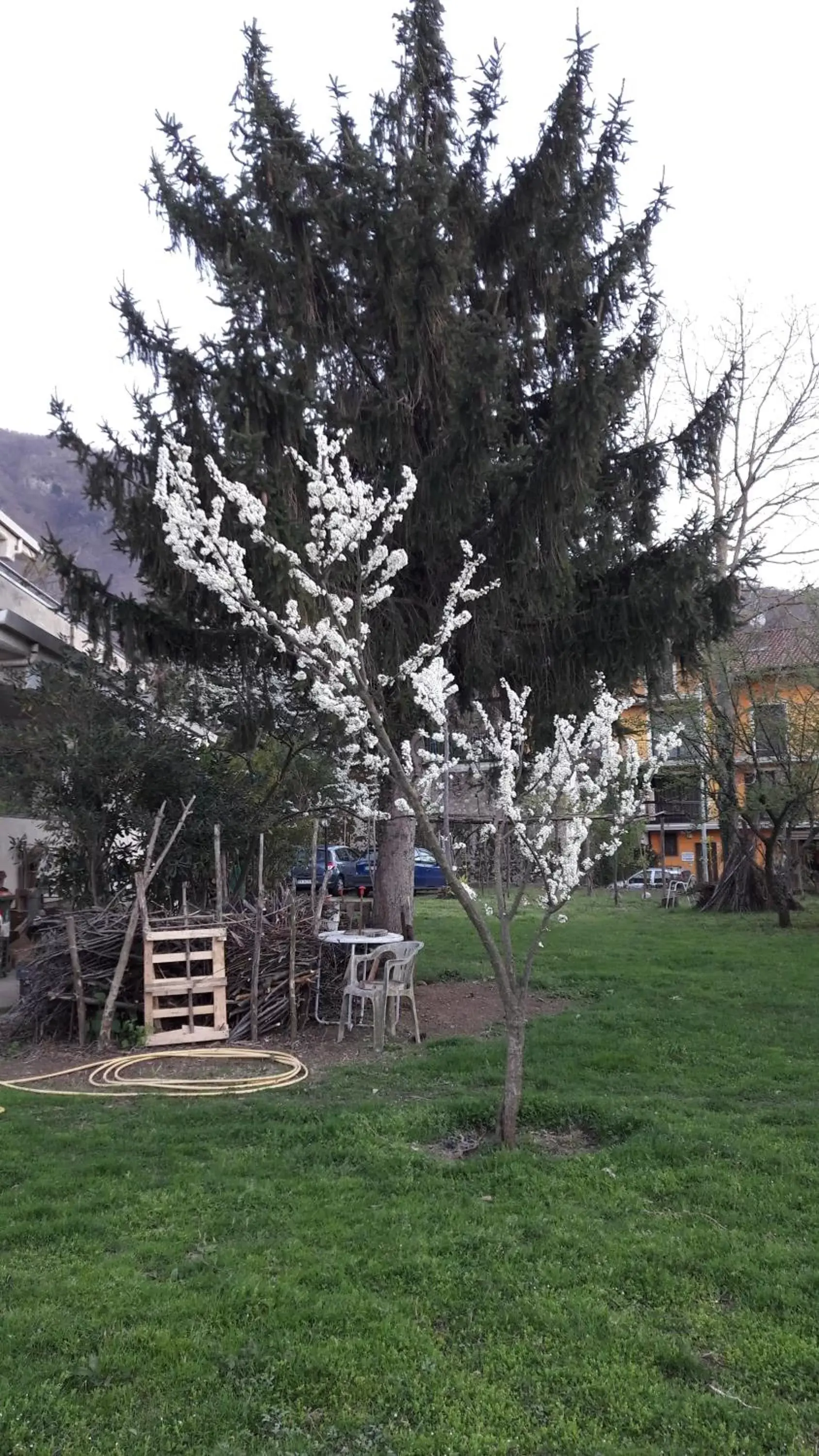 B&B Sun Garden B&B Sun Garden