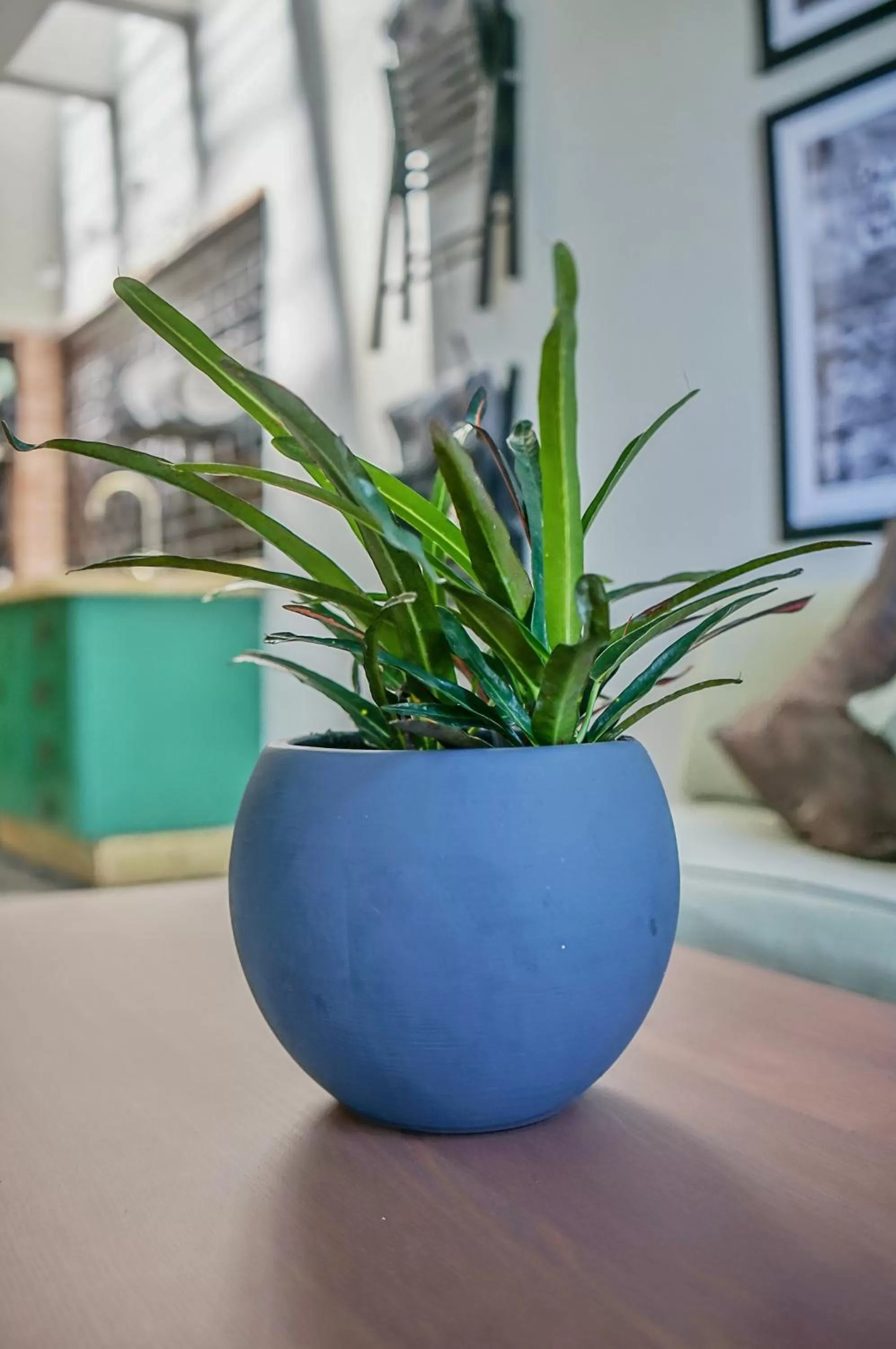 View (from property/room) in Hotel Posada de las Cuevas