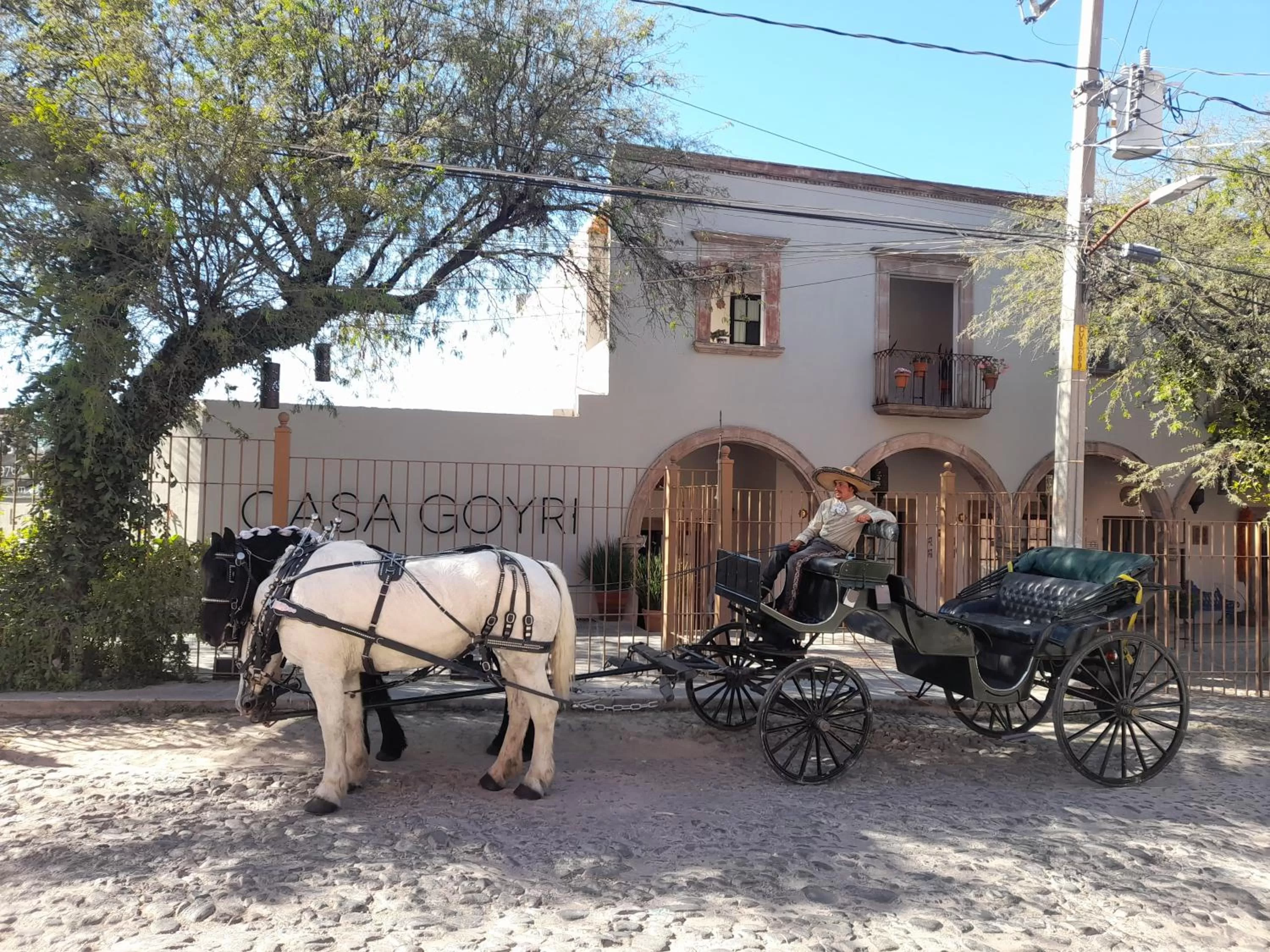 People in Casa Goyri San Miguel de Allende