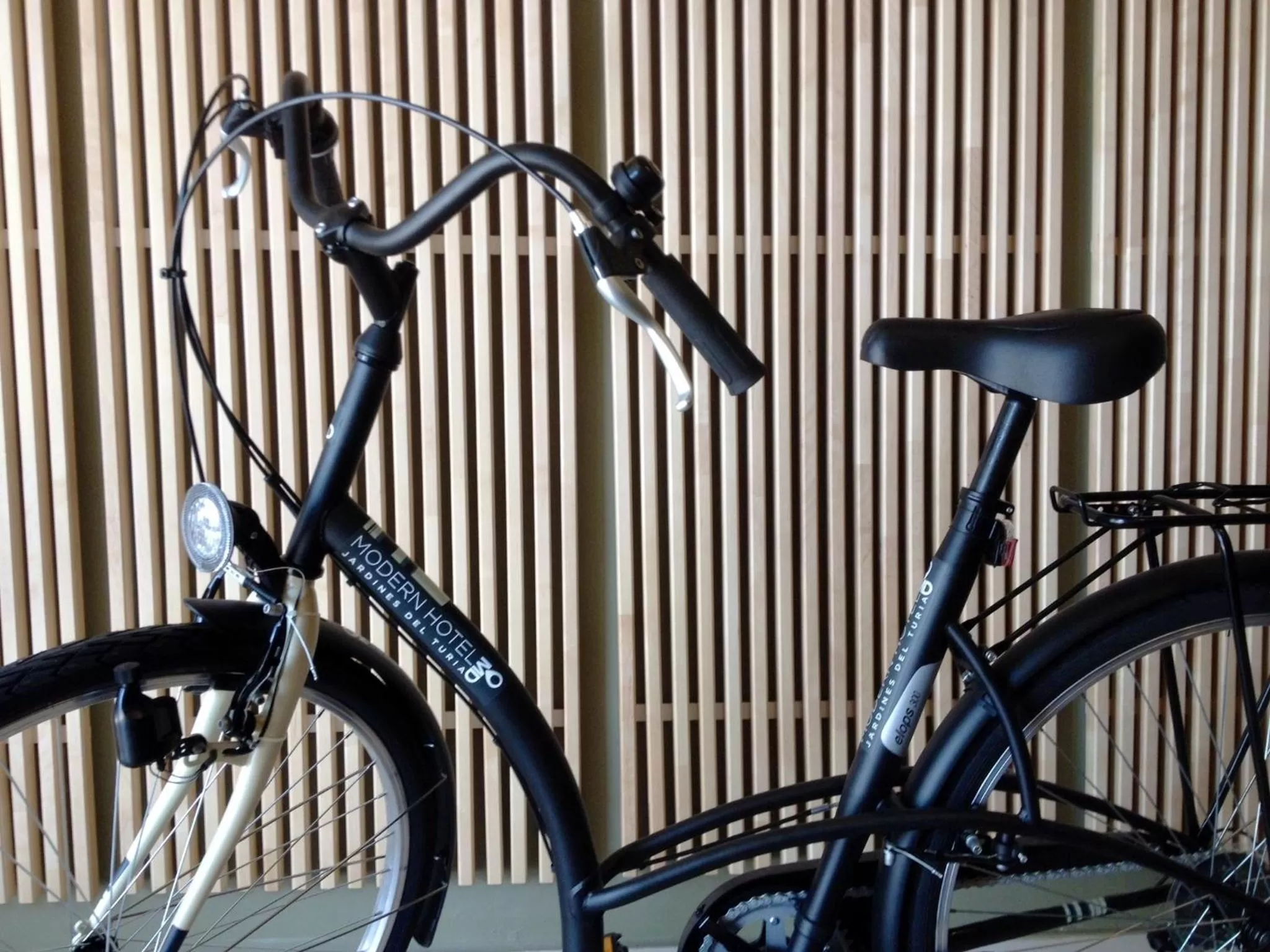 Activities in MD Modern Hotel - Jardines