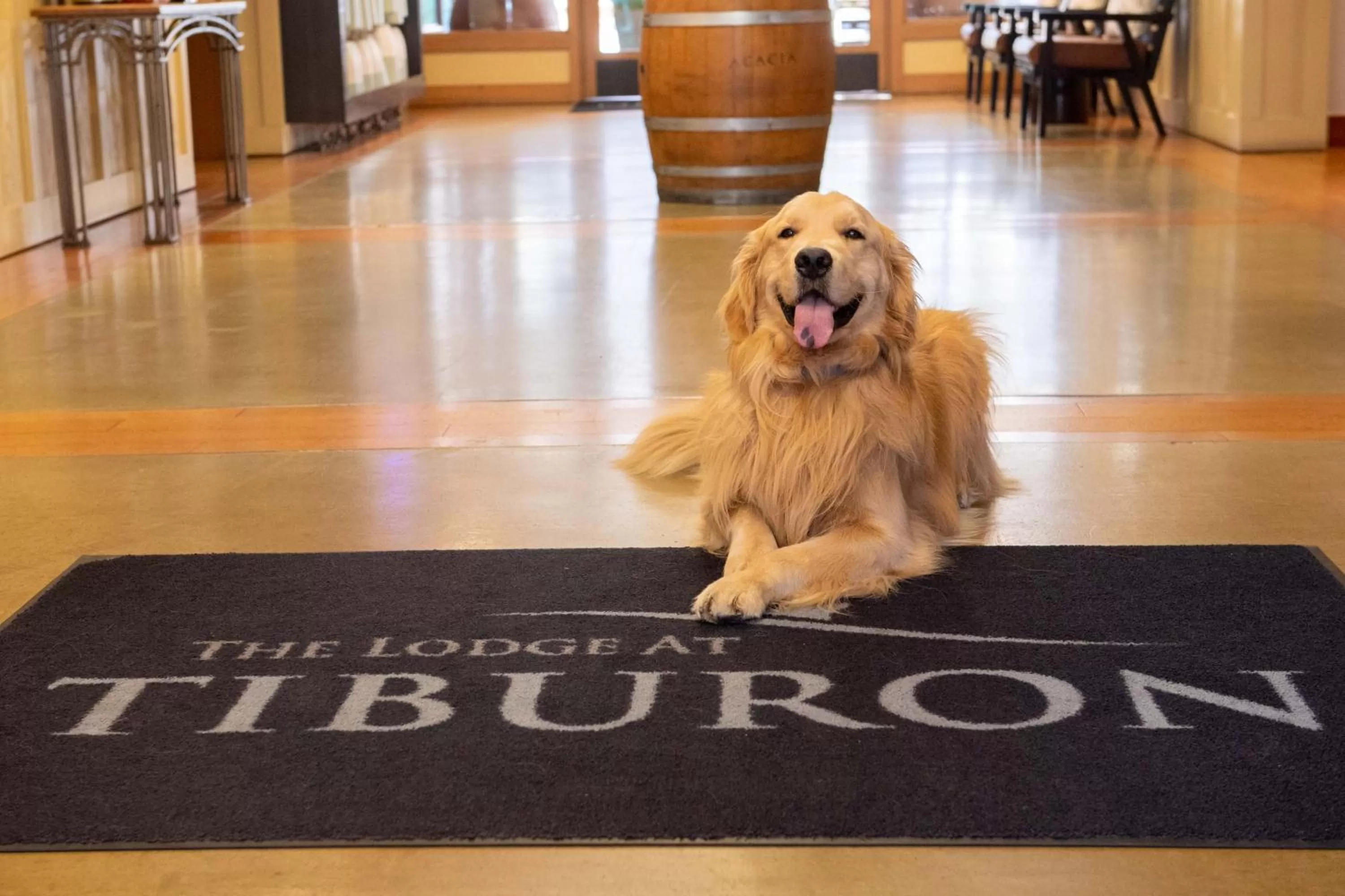 Pets in The Lodge at Tiburon