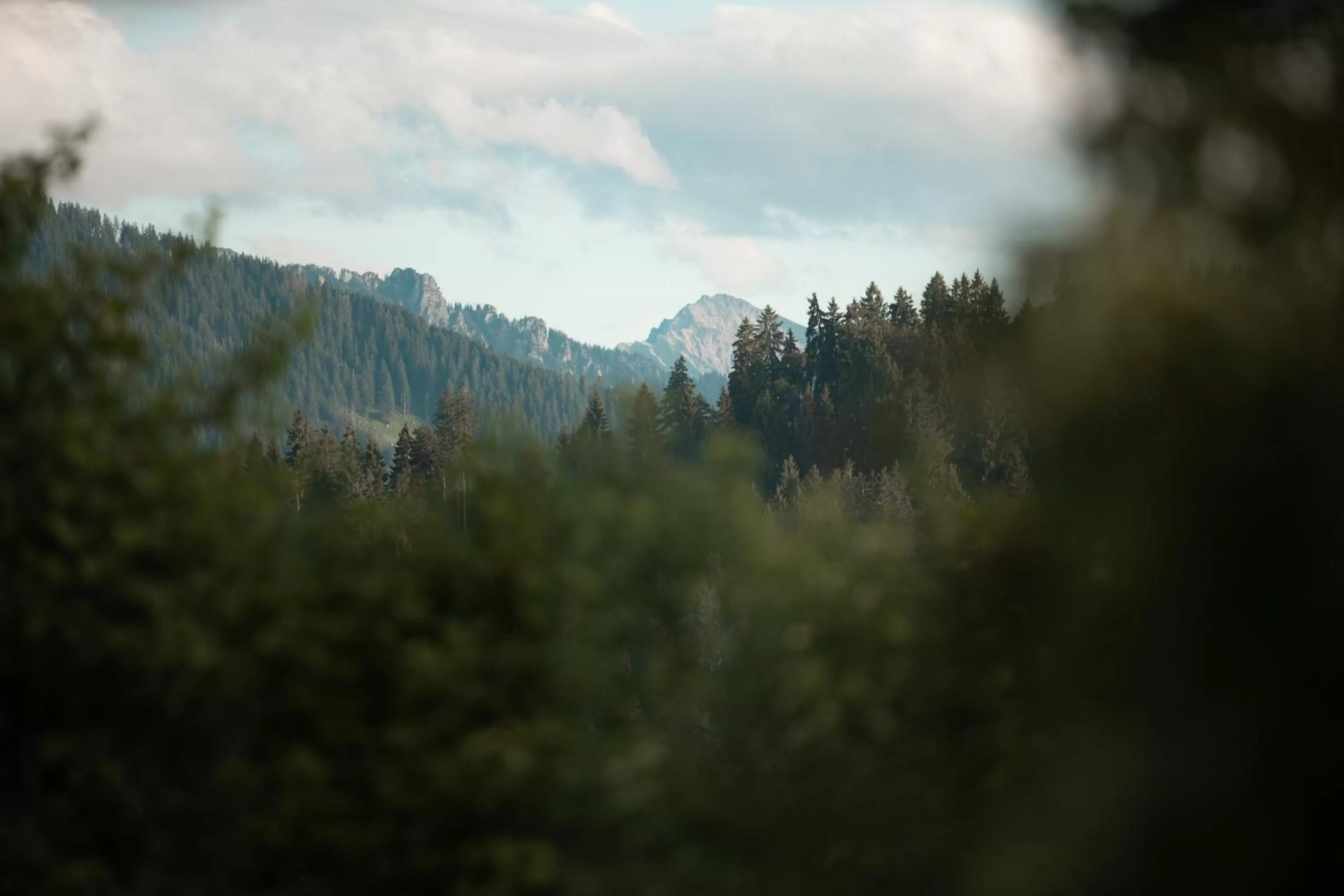View (from property/room) in Mittelburg Wellnesshotel
