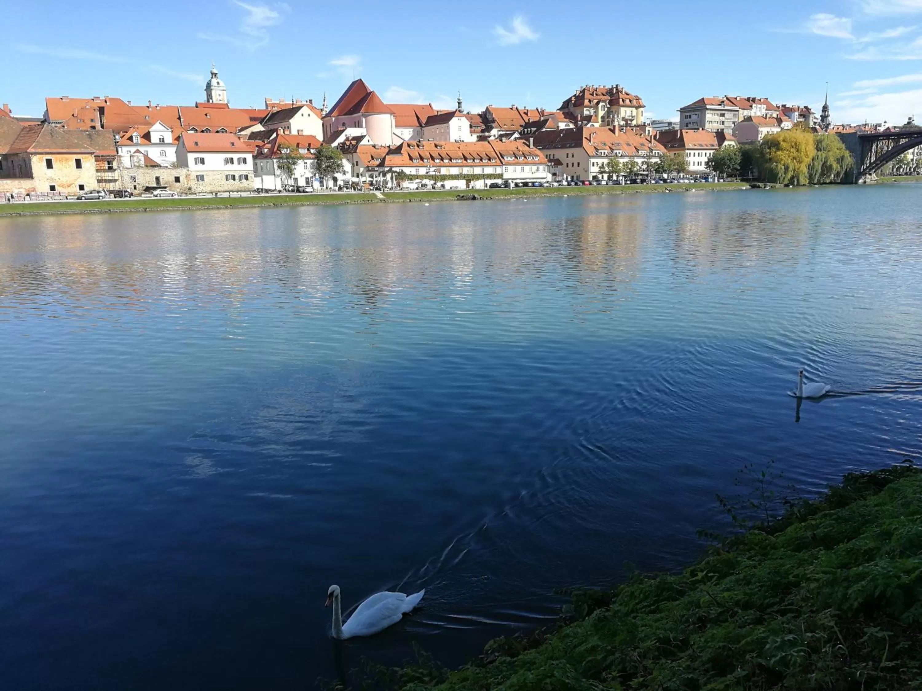 Neighbourhood in Hotel CityMap Maribor