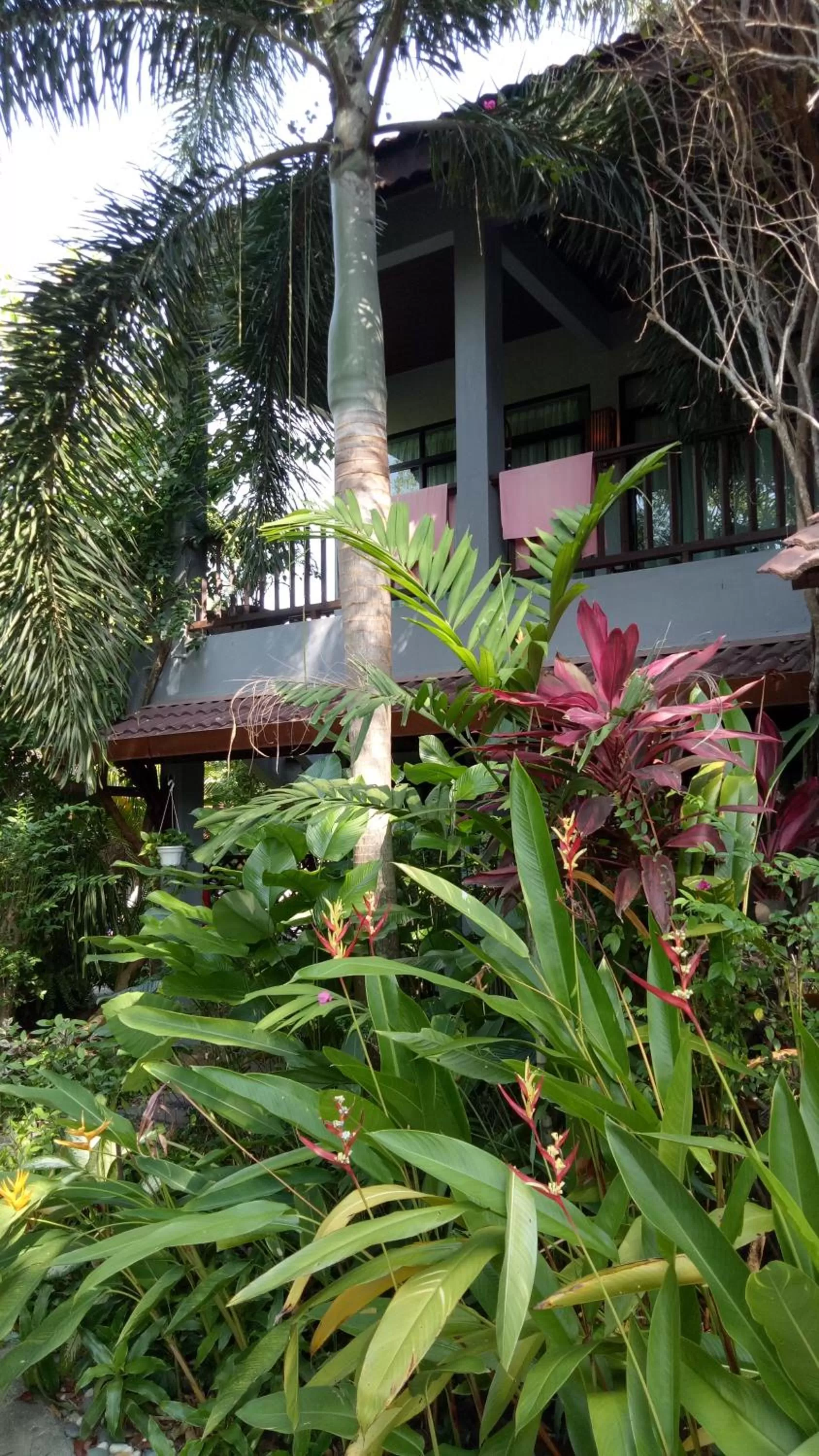 Property building in Villa Molek