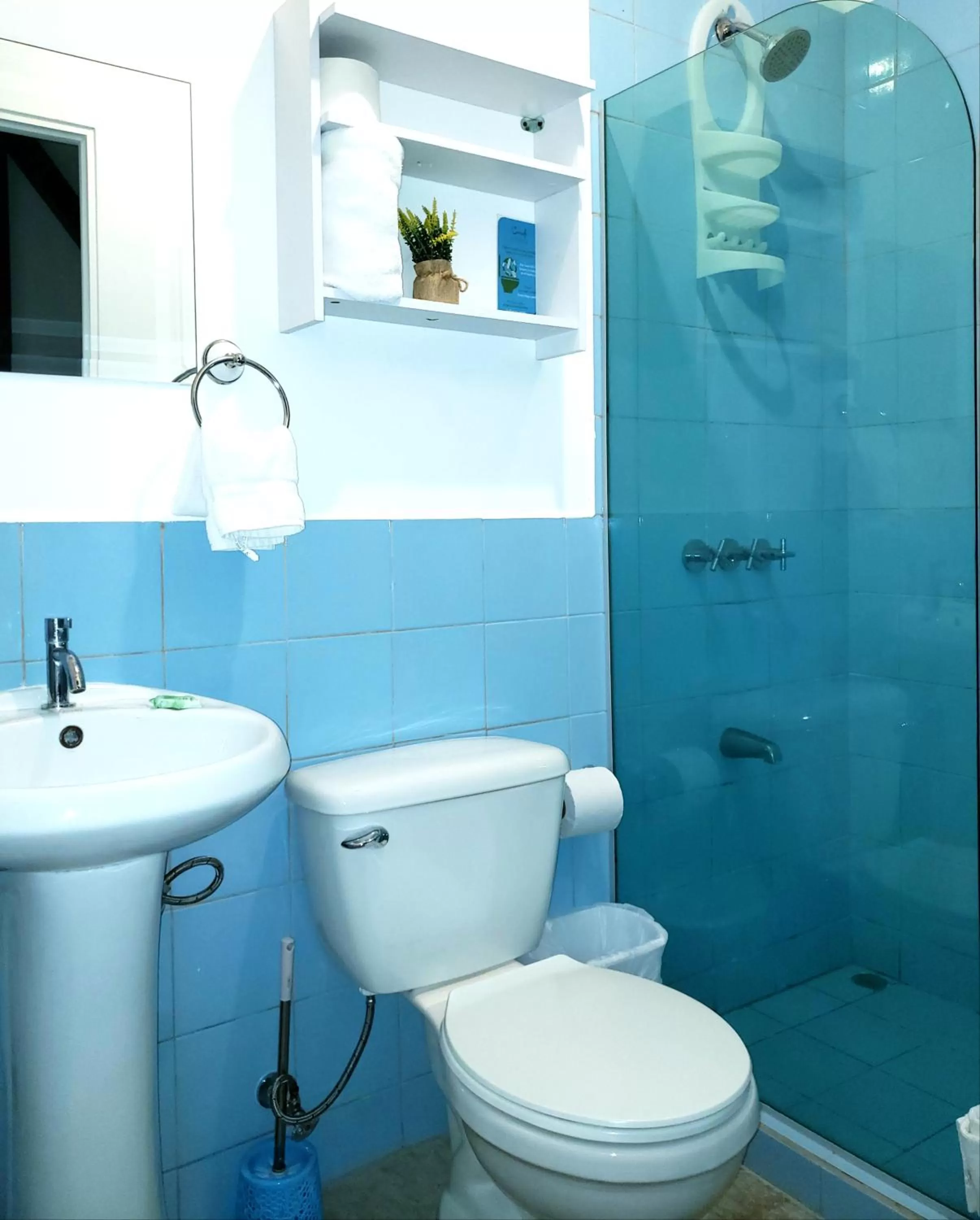 Bathroom in Cando Living Apartments in Central Avenue