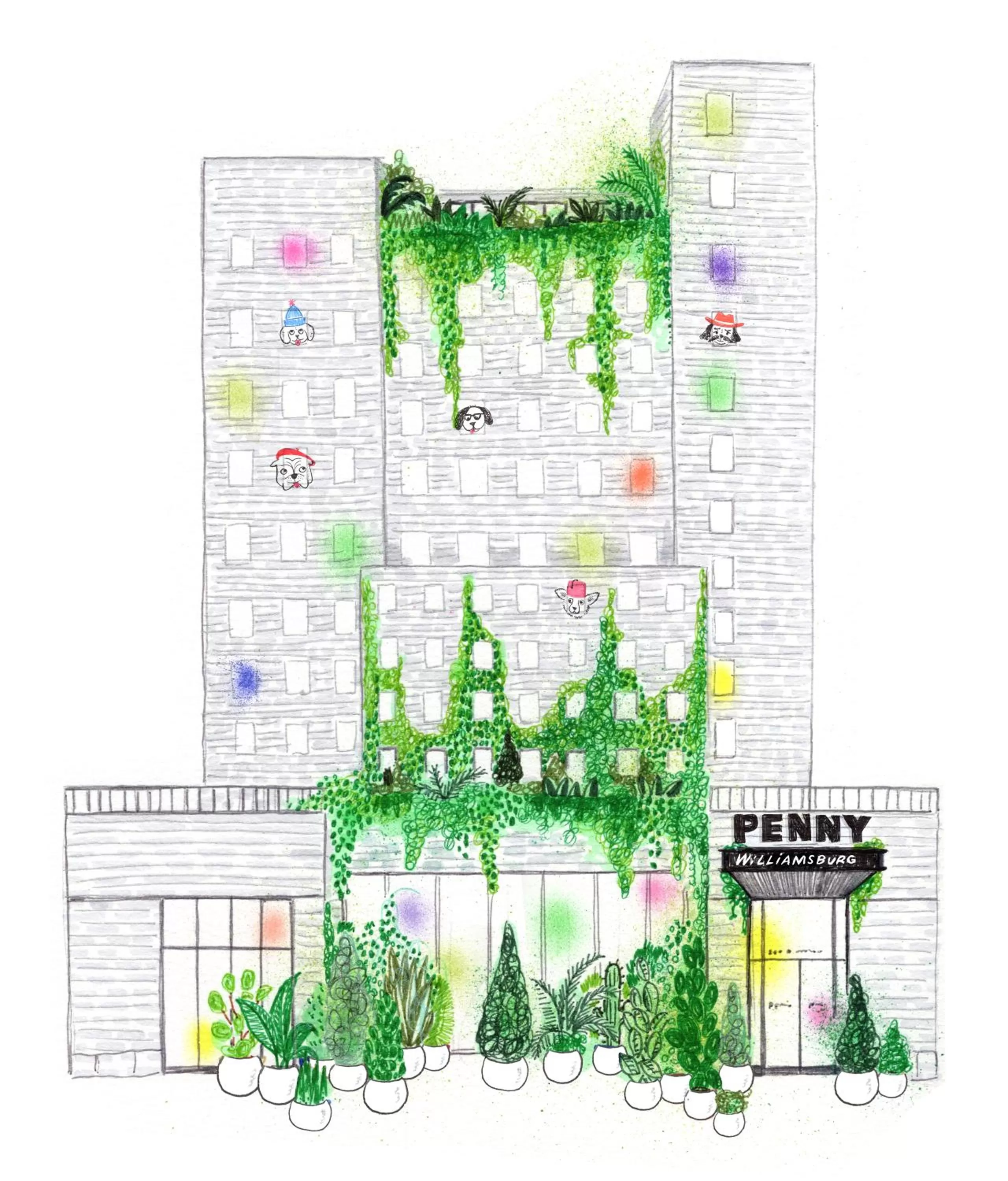 Property building in Penny Williamsburg