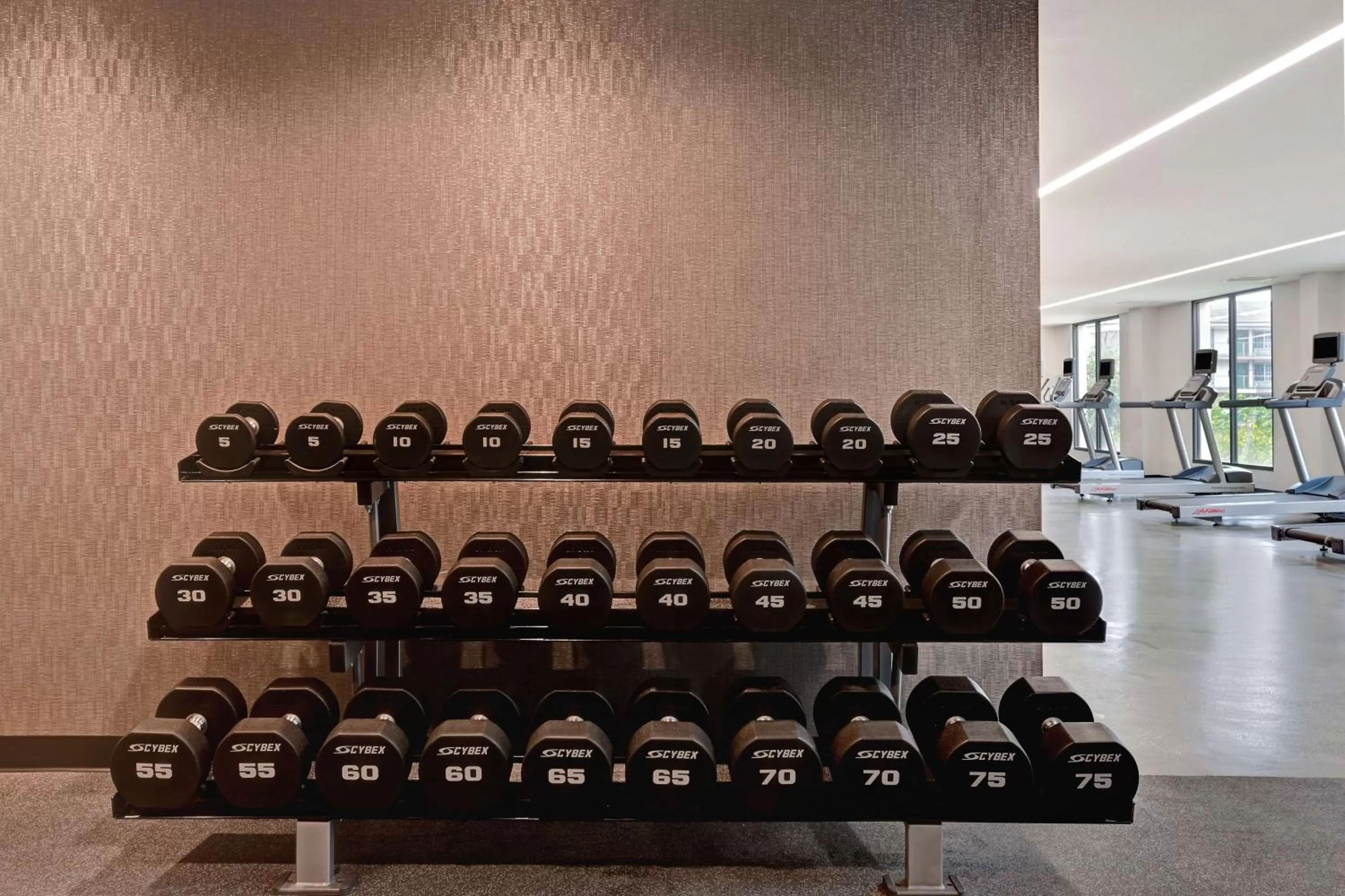 Fitness centre/facilities in Home2 Suites By Hilton Anaheim Resort