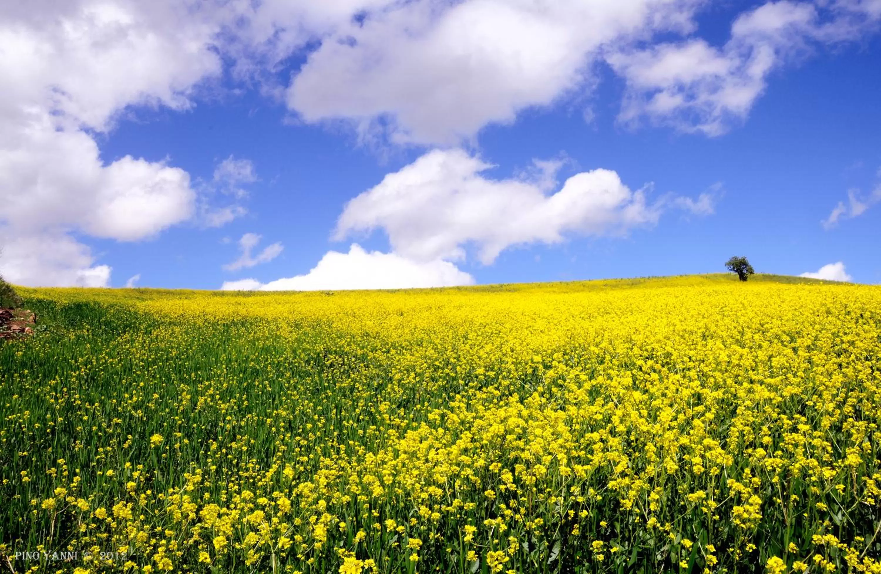 Natural landscape in Oasi del Lago