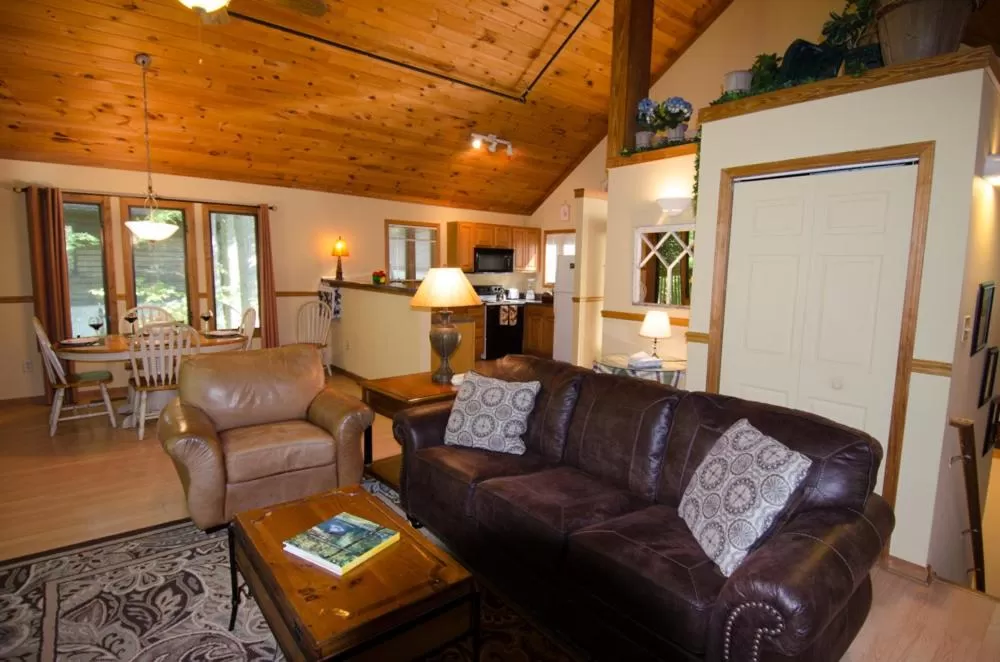 Living room, Seating Area in Asheville Cabins of Willow Winds