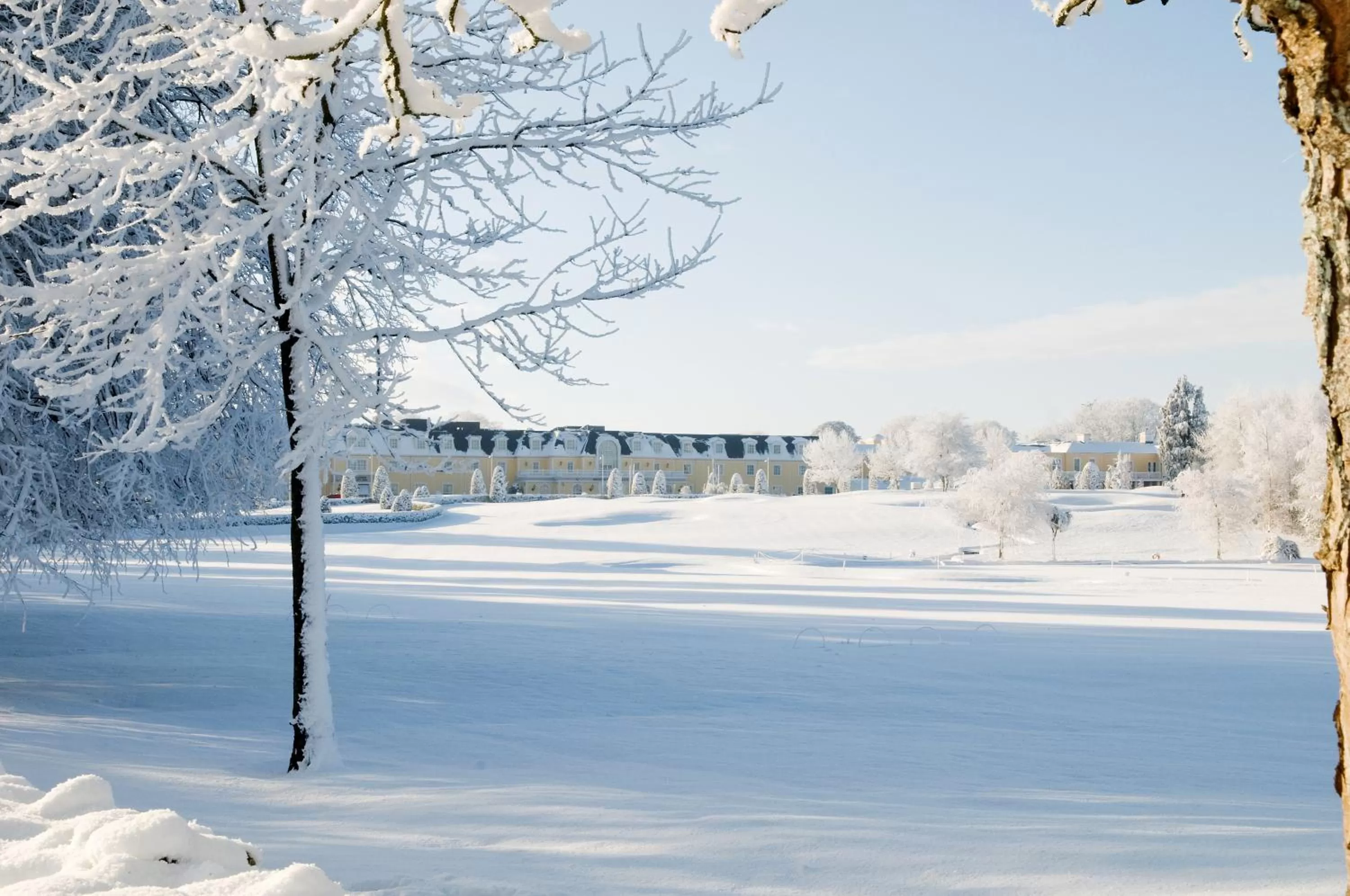 Garden, Winter in Mount Wolseley Hotel Spa & Golf Resort