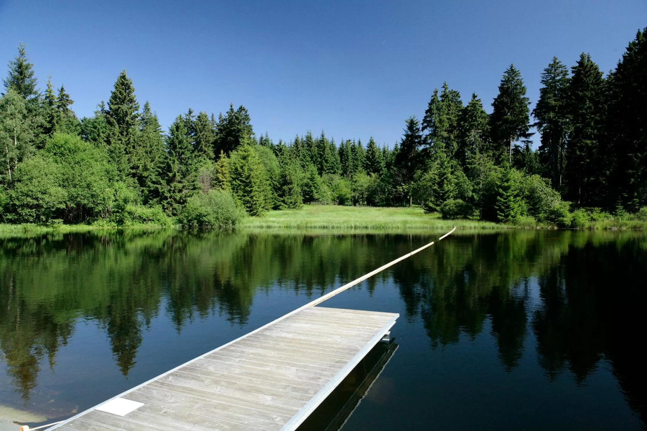 Activities in Rennsteighotel Herrnberger Hof