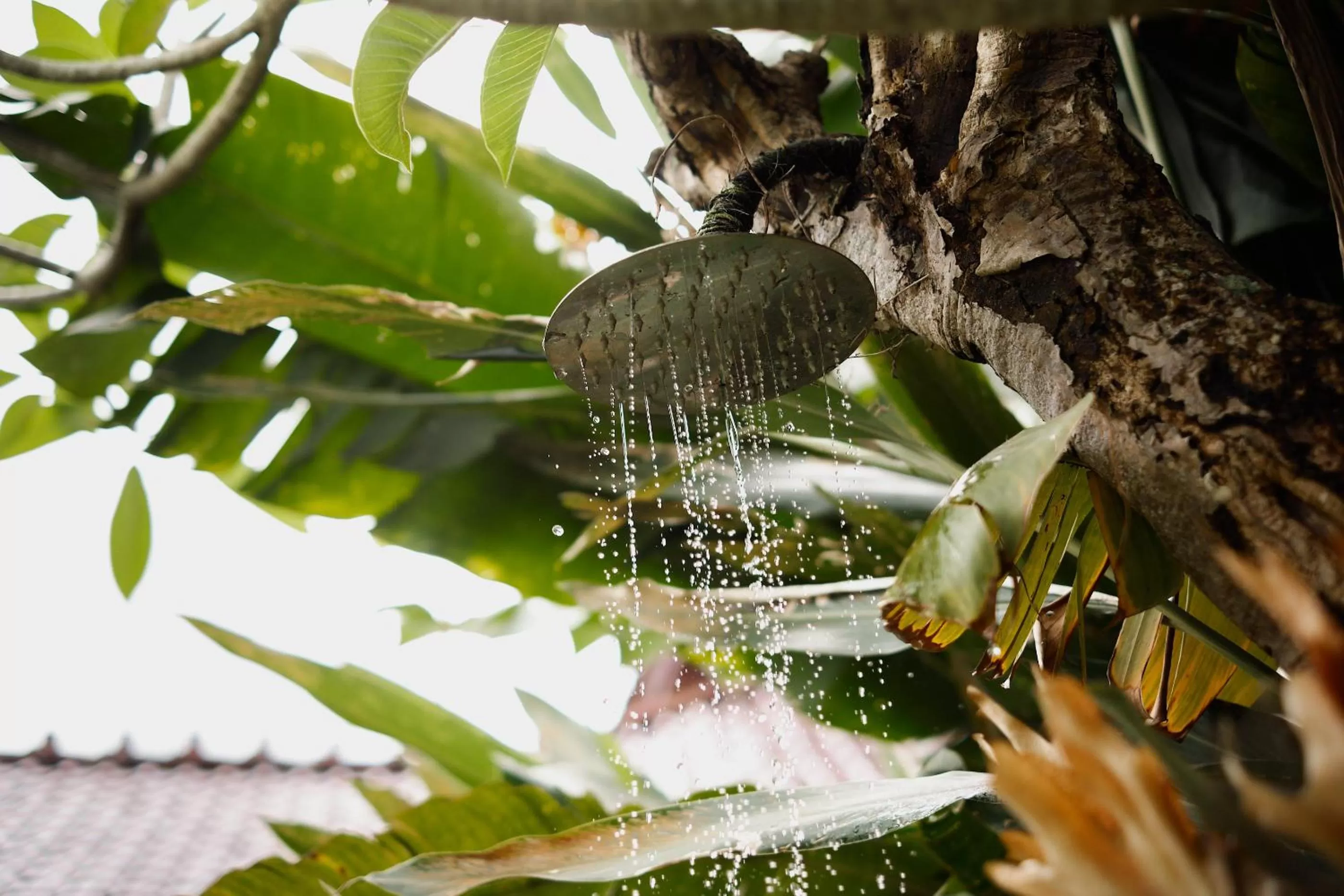 Shower in Joglo Organik Guesthouse