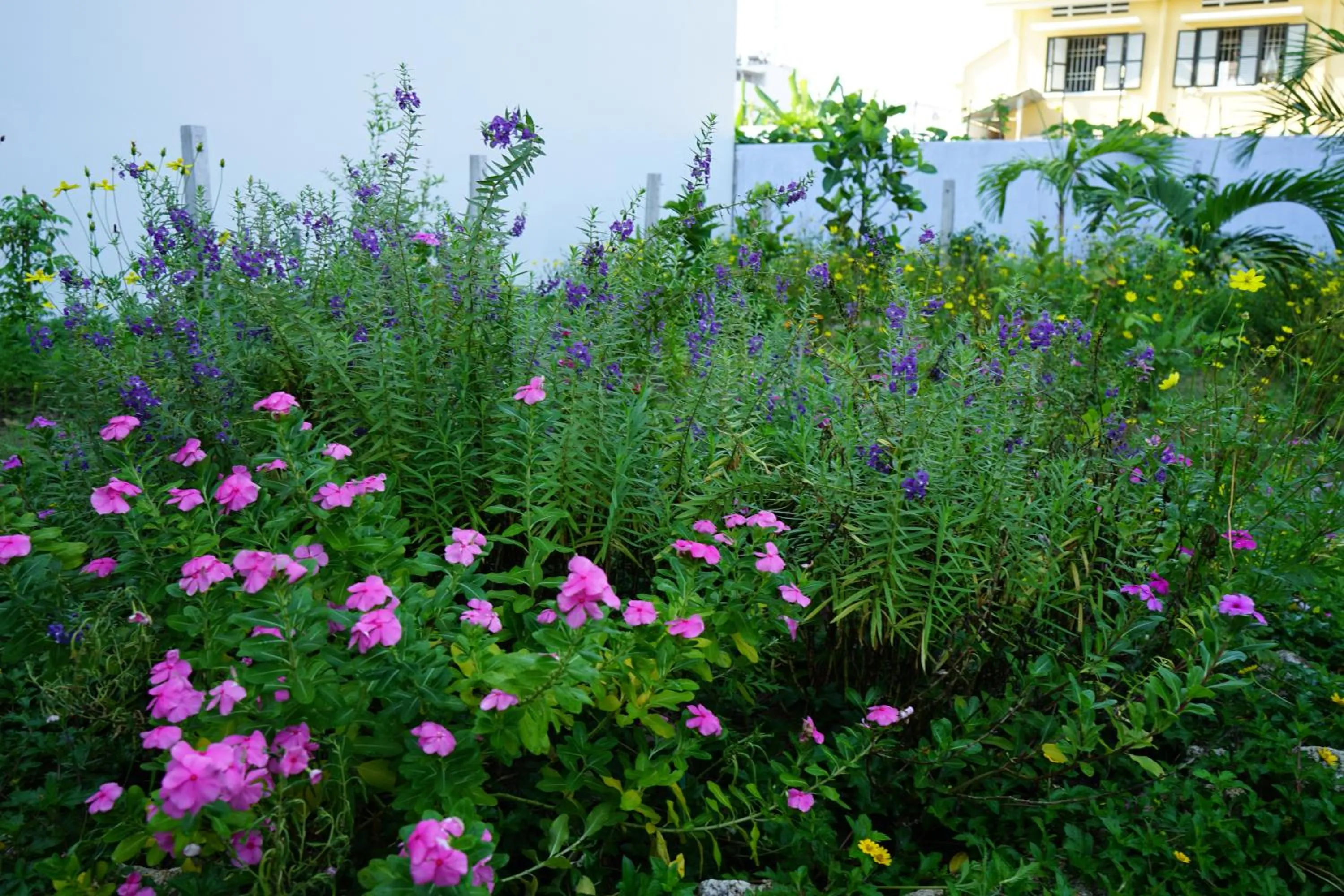 Garden in Seasing Boutique Hotel