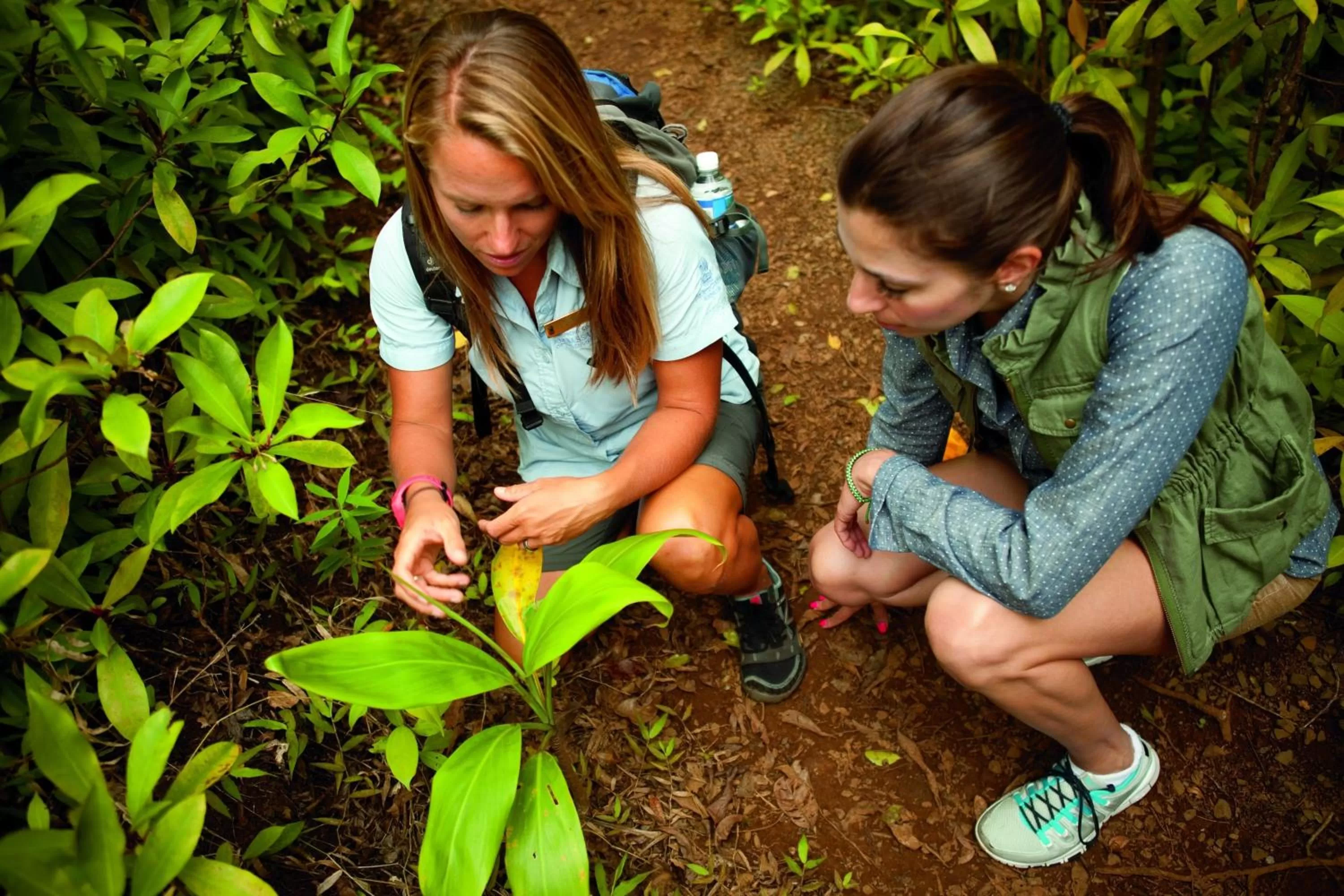 Other in The Ritz-Carlton Maui, Kapalua