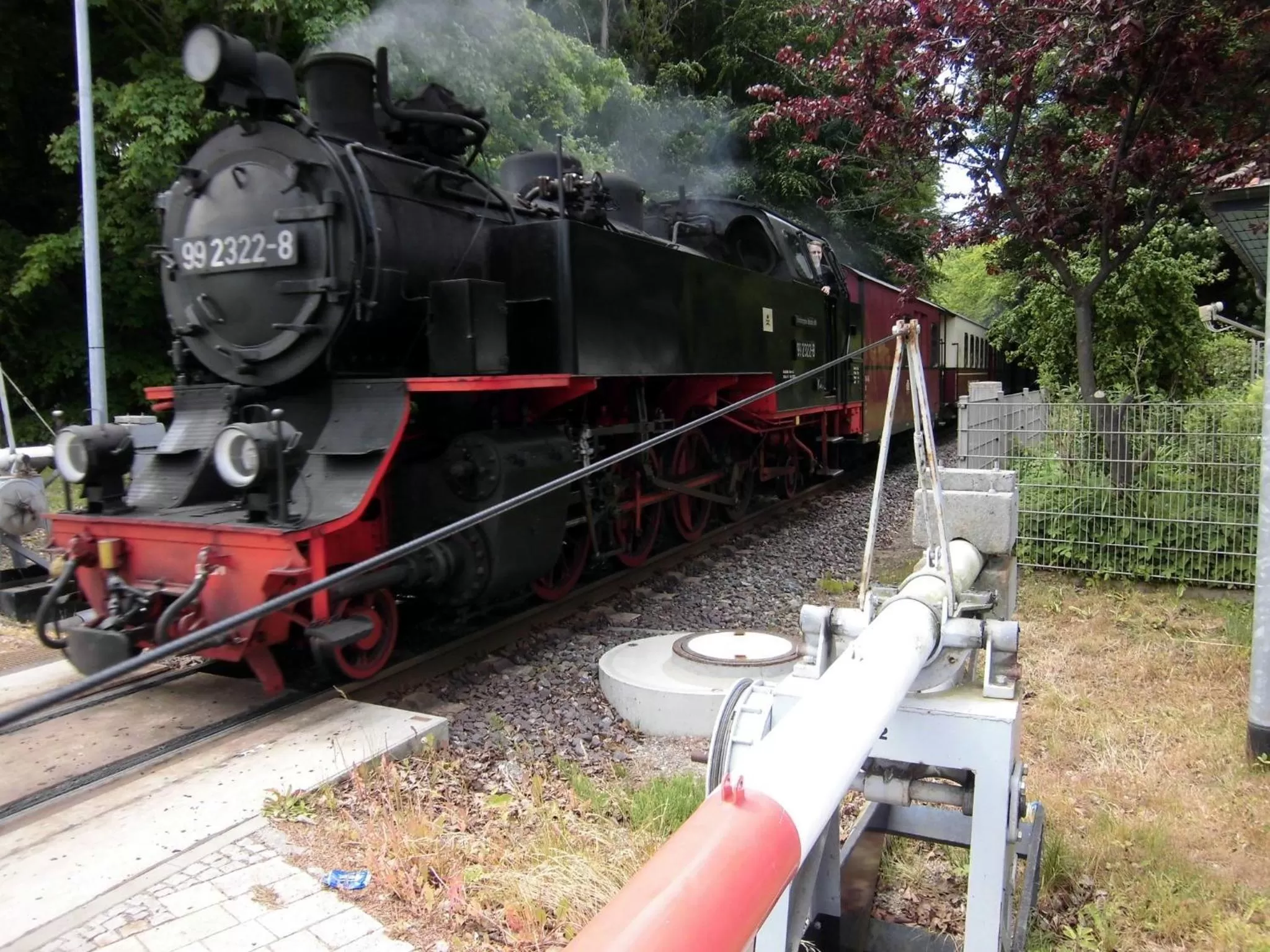 Area and facilities in Villa Astoria - Kühlungsborn