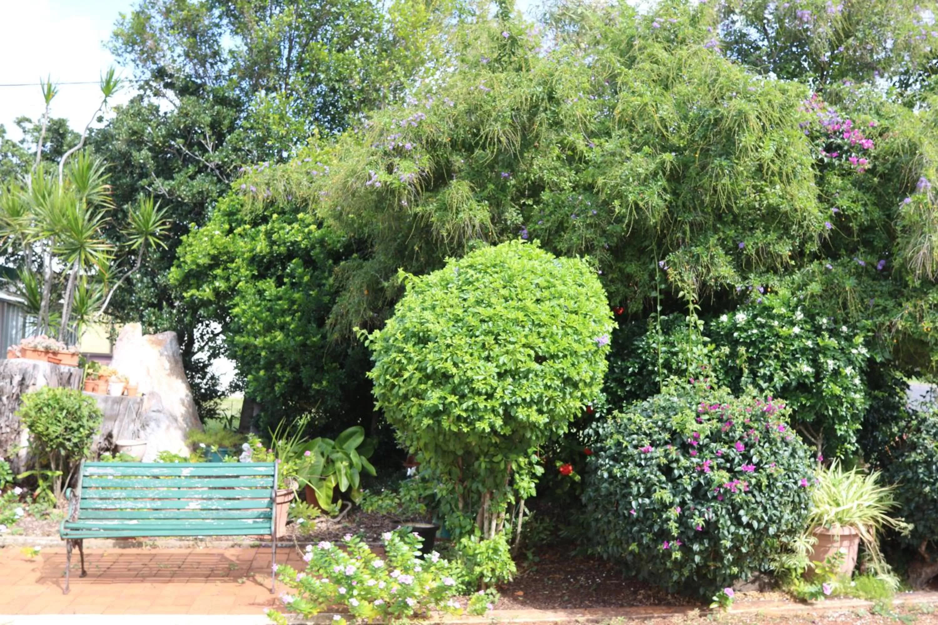 Garden view in Avocado Motor Inn