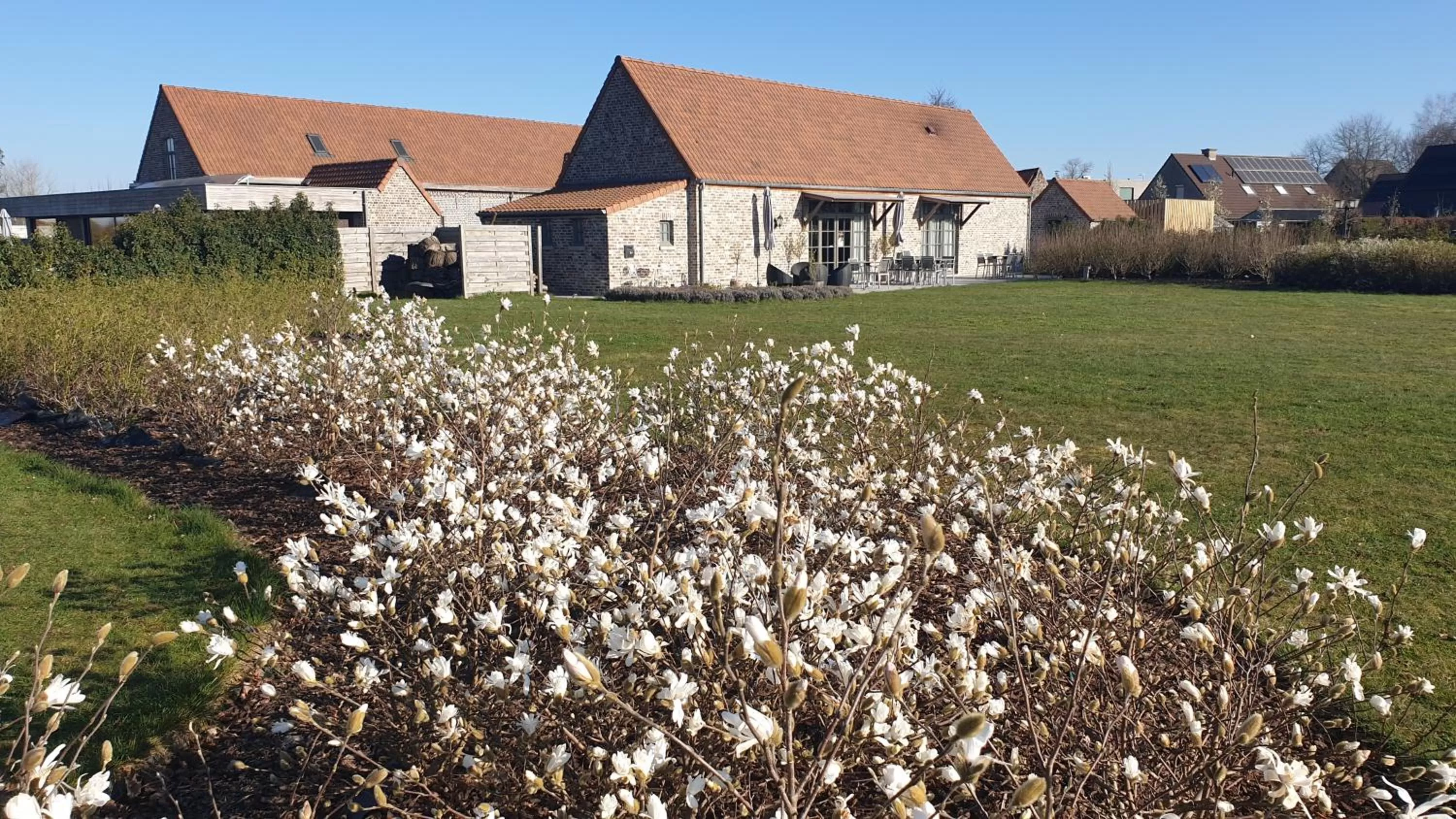 Garden in B&B 't Meesterhof