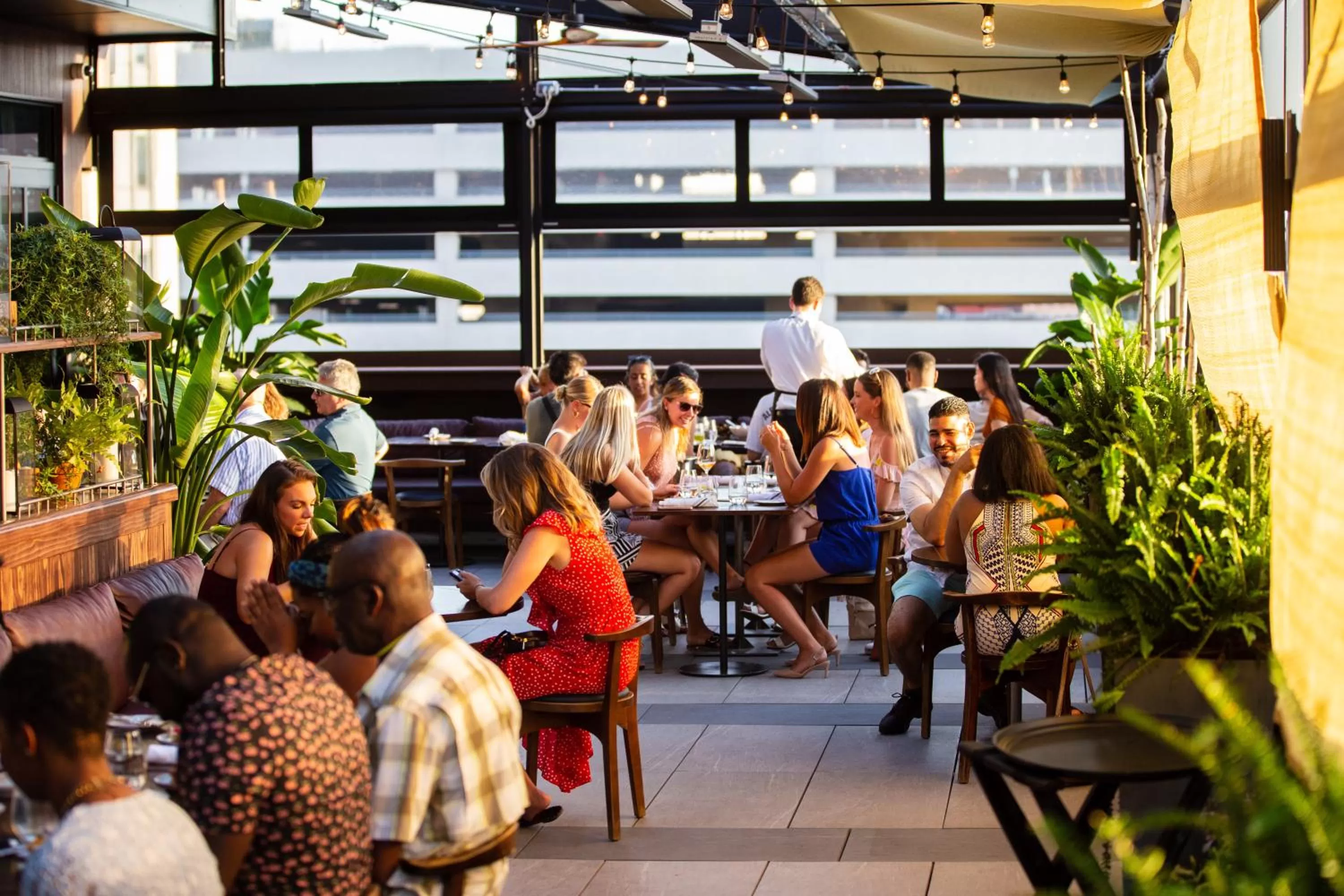 Restaurant/places to eat in The Blake Hotel