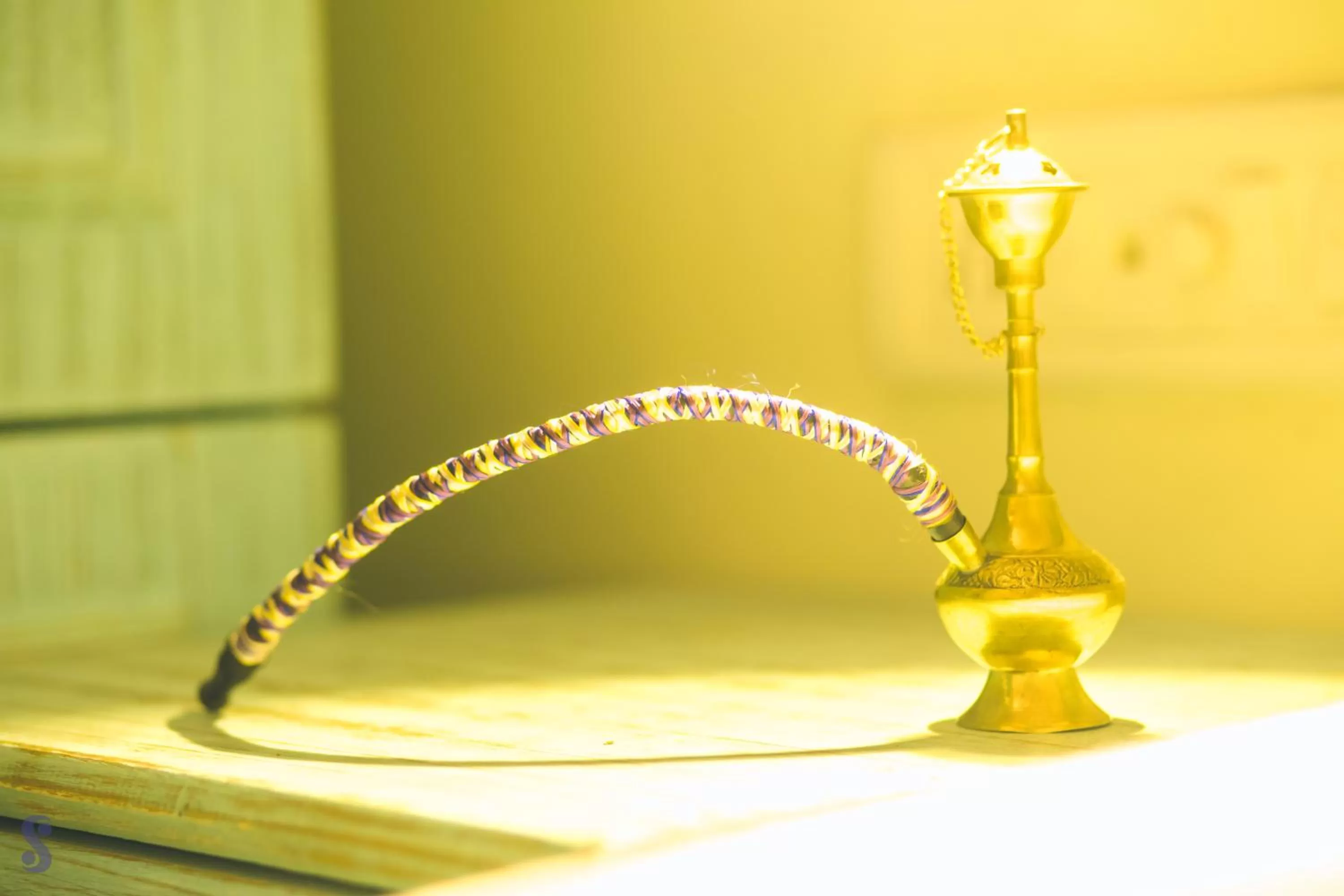 Decorative detail in Safarnama Varanasi