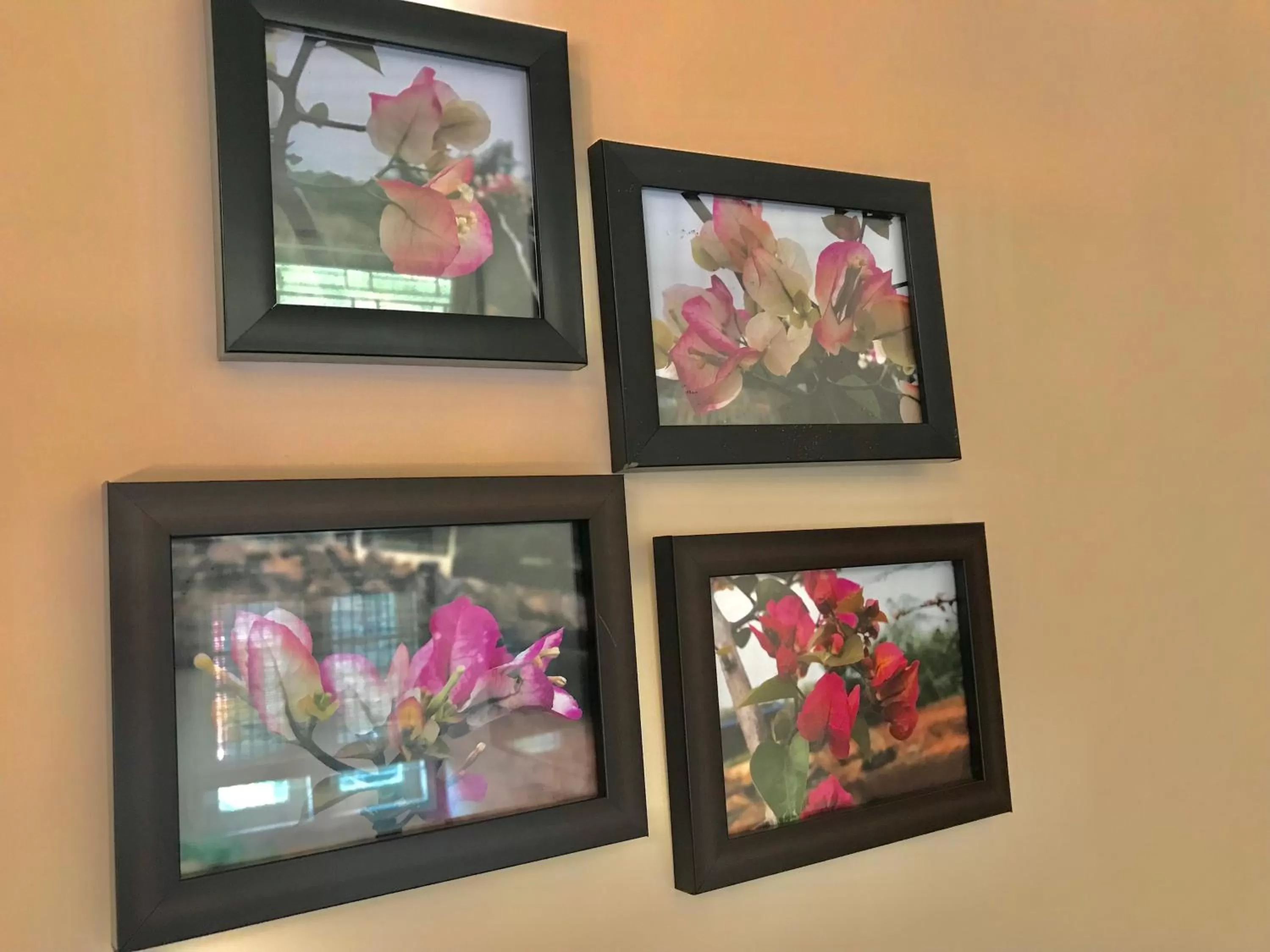 TV/Entertainment Center in Bougainvillea