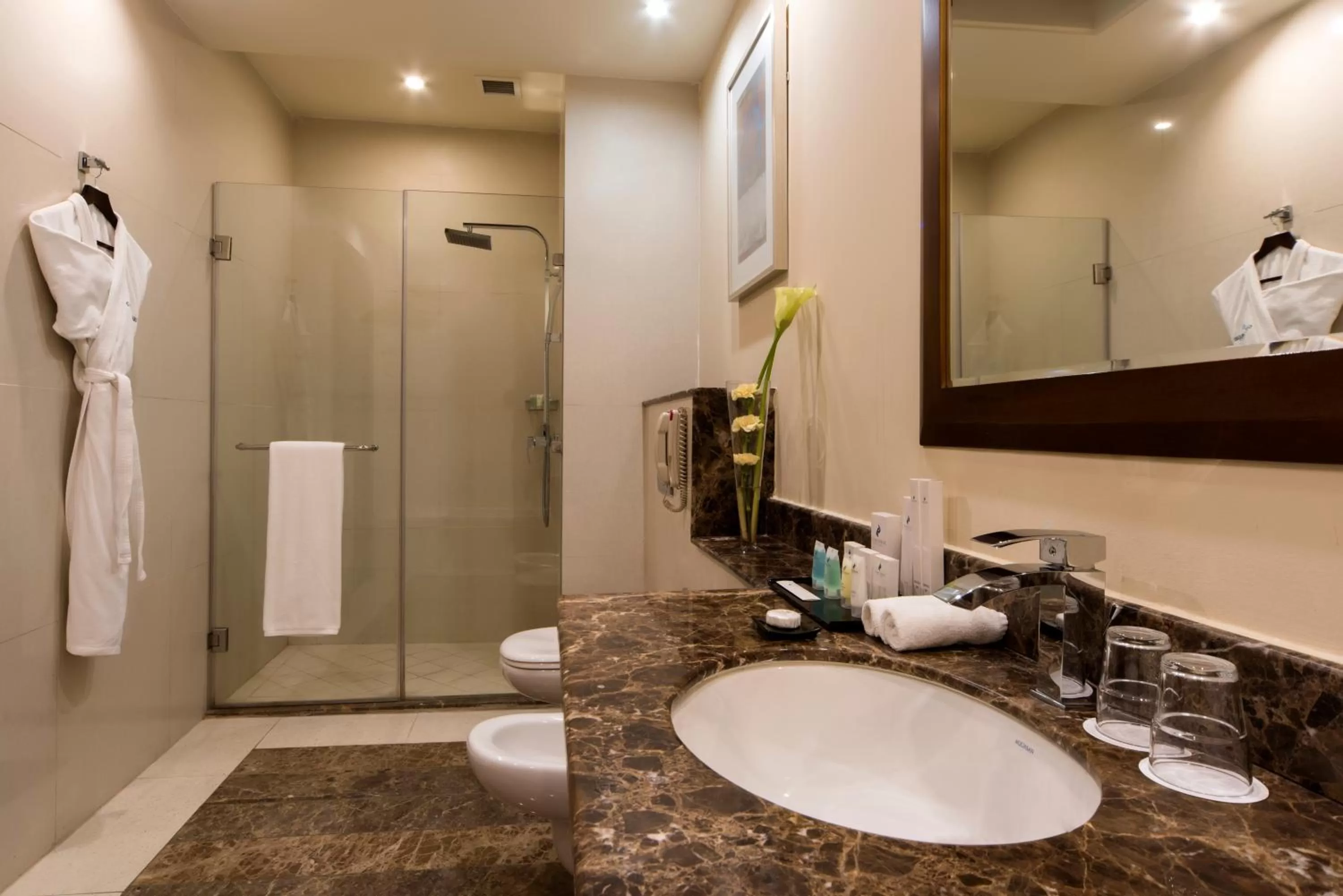 Toilet in Concorde Hotel Doha