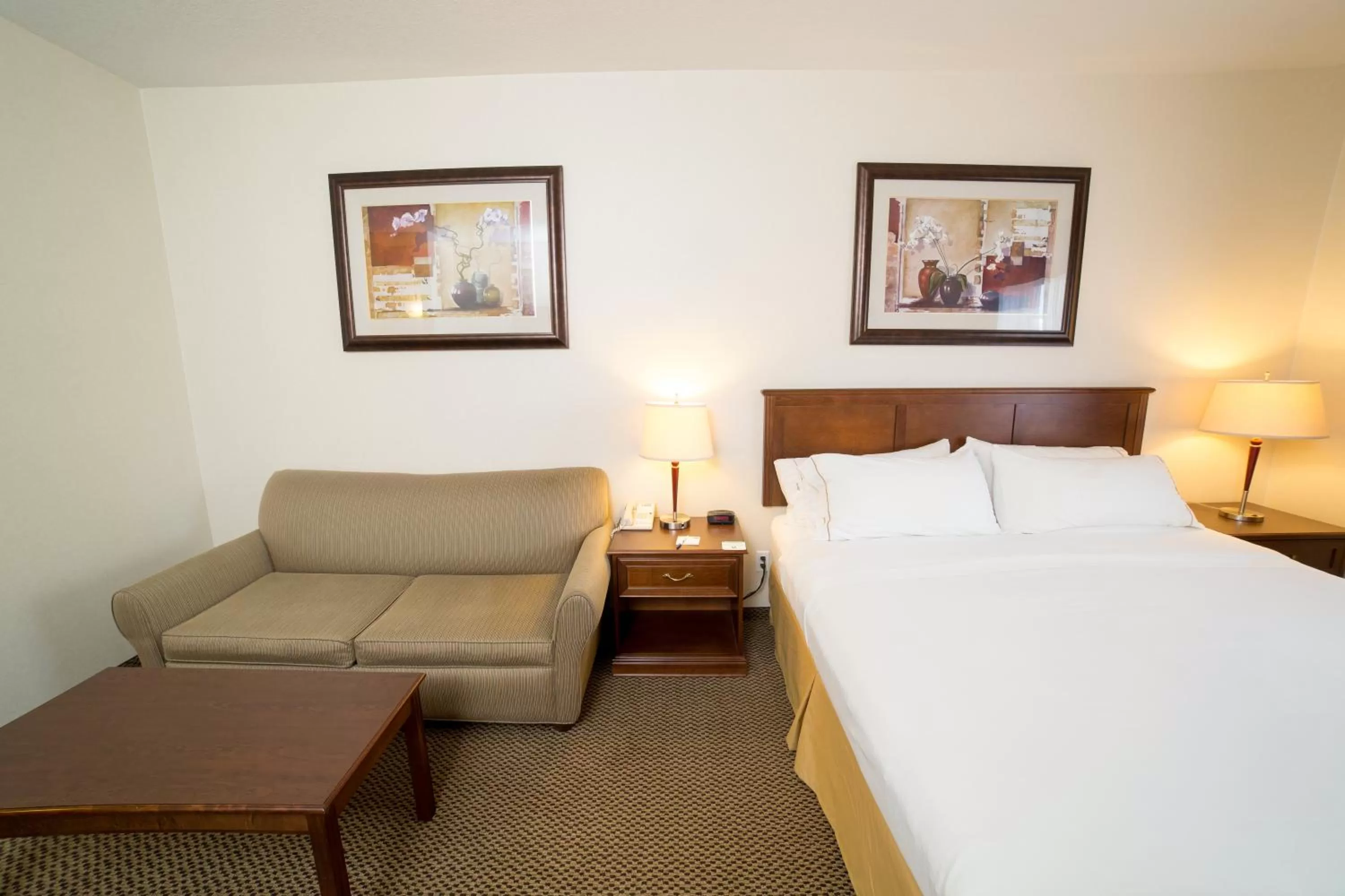 Living room, Bed in Holiday Inn Express & Suites Drayton Valley by IHG