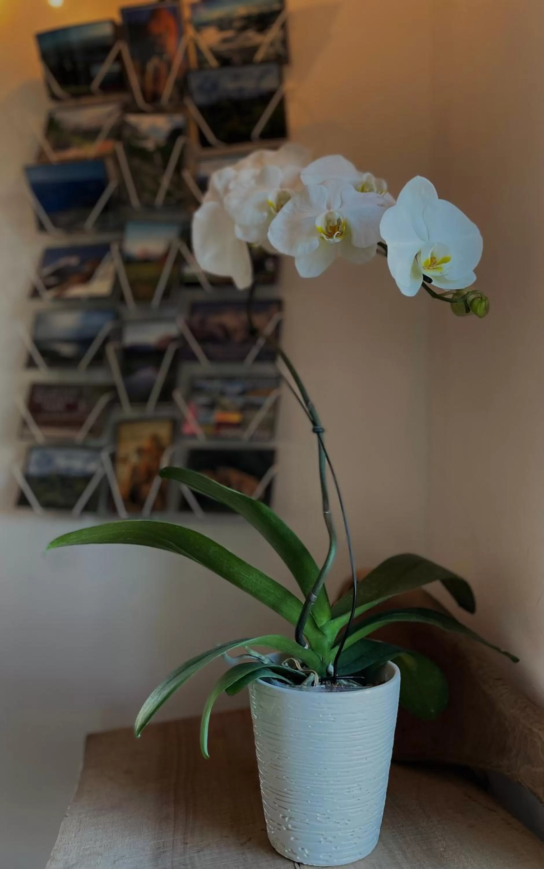 Decorative detail in Chalet Inn