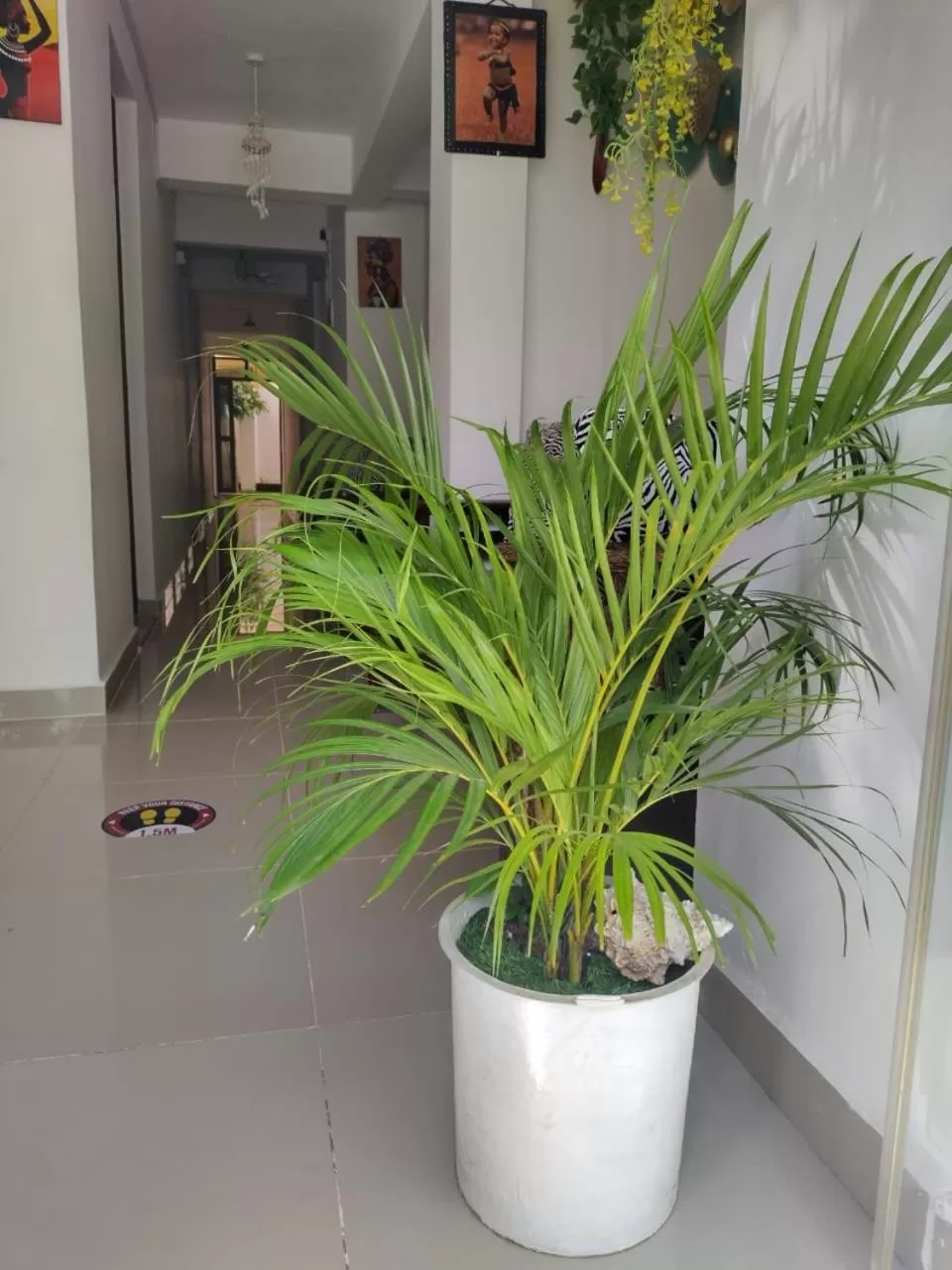 Decorative detail in 6 Park Retreat