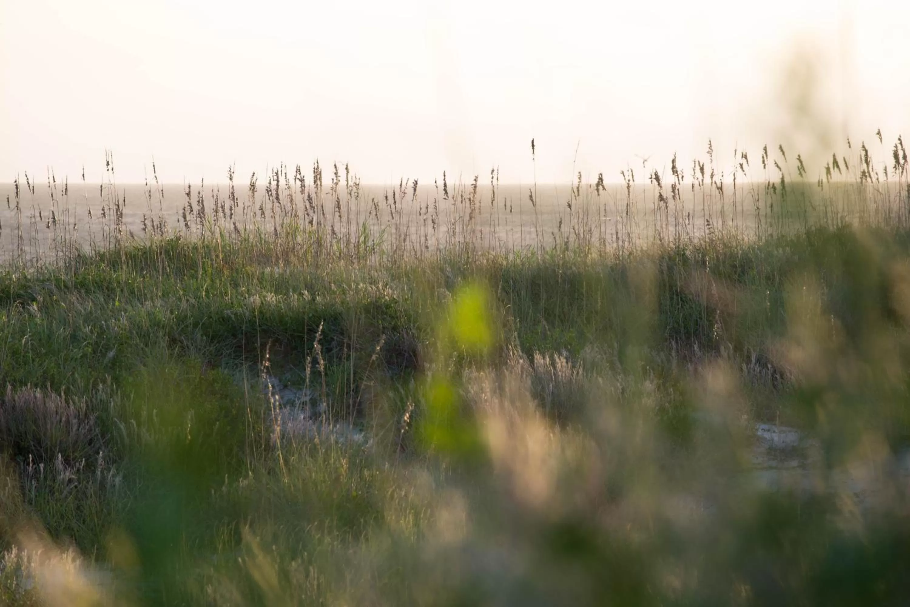 Beach in Atlantic Beach Resort, a Ramada by Wyndham