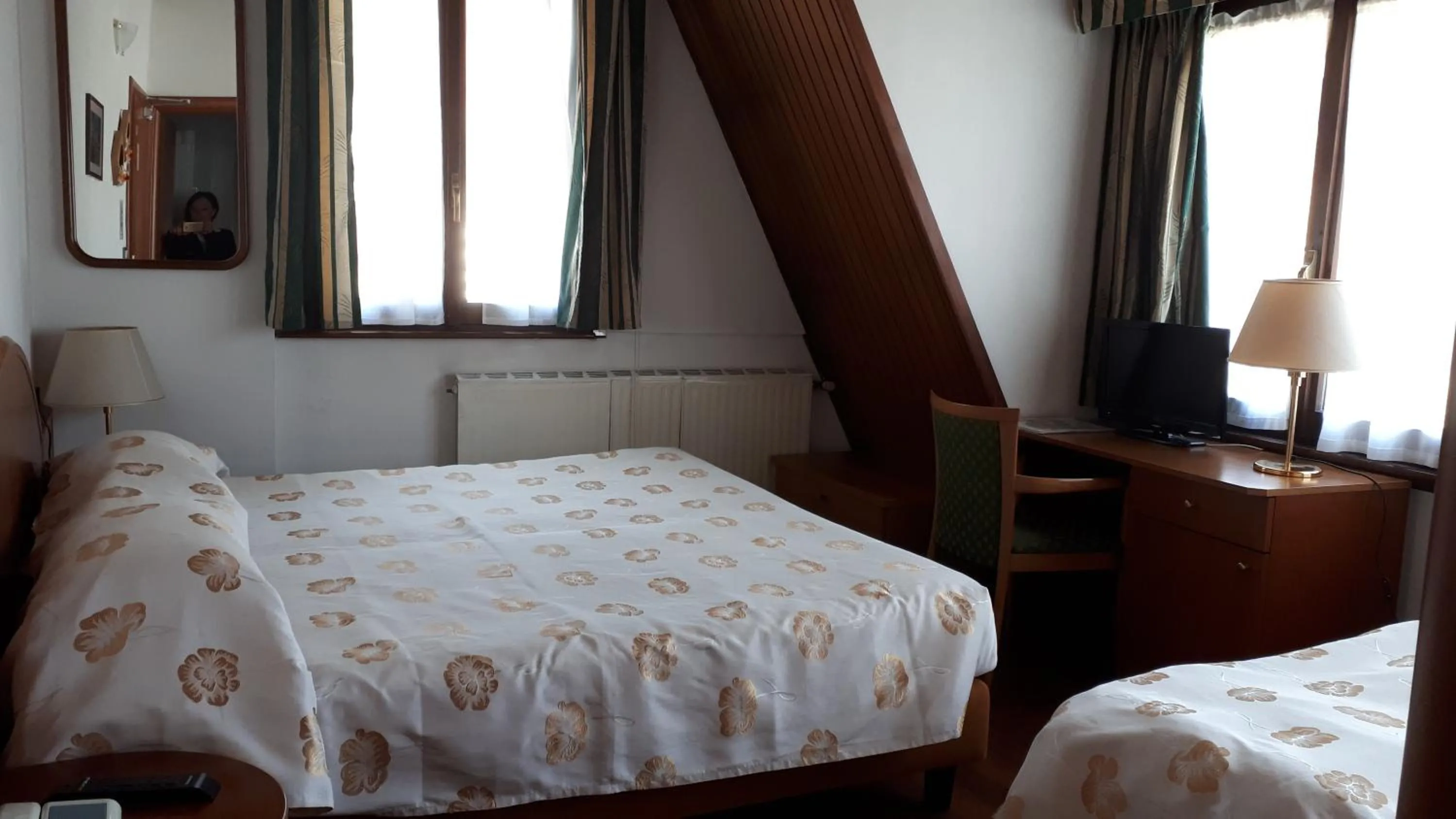 Triple Room in Albergo Meublè Stelvio