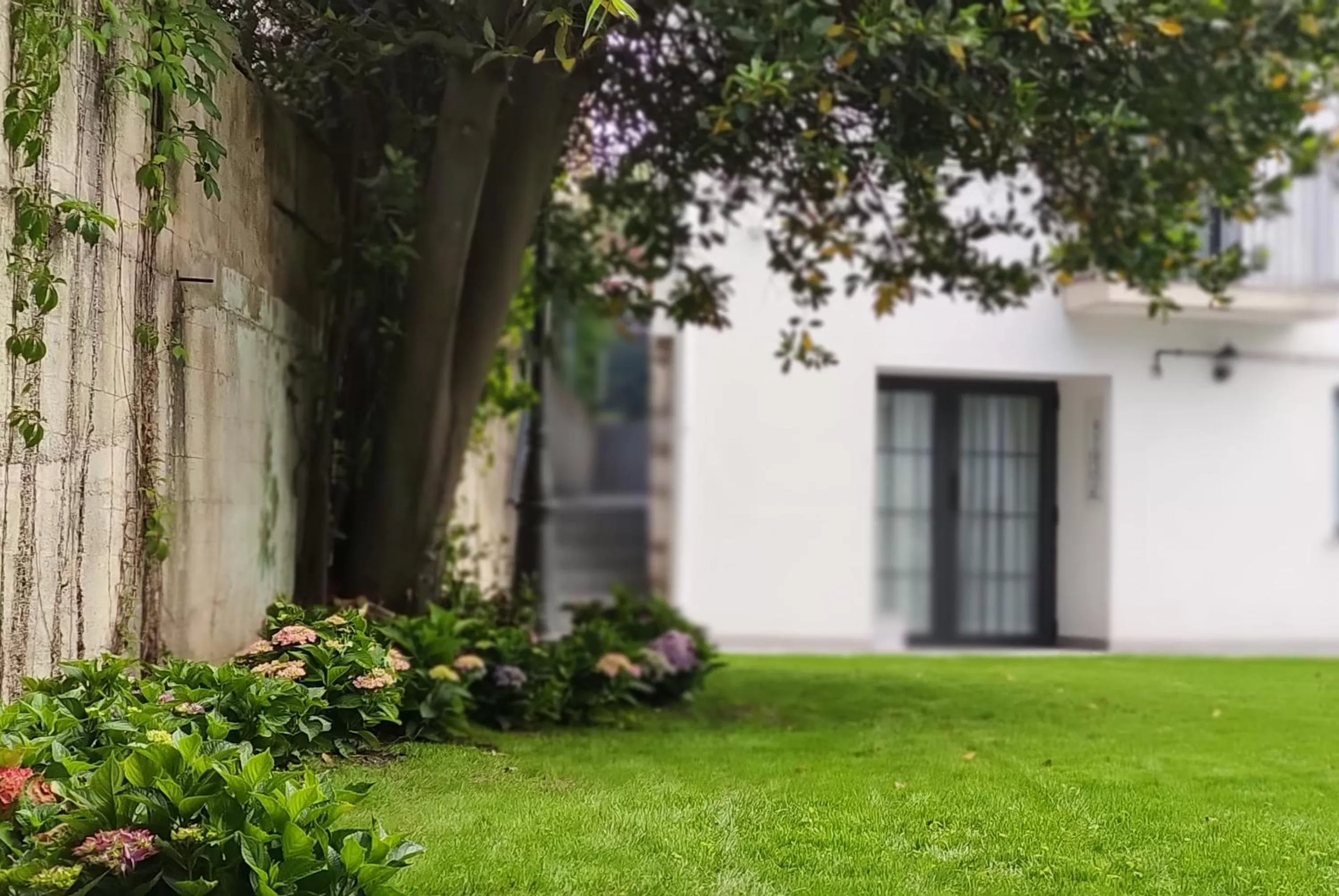 Property building in Le Petit Boutique Hotel