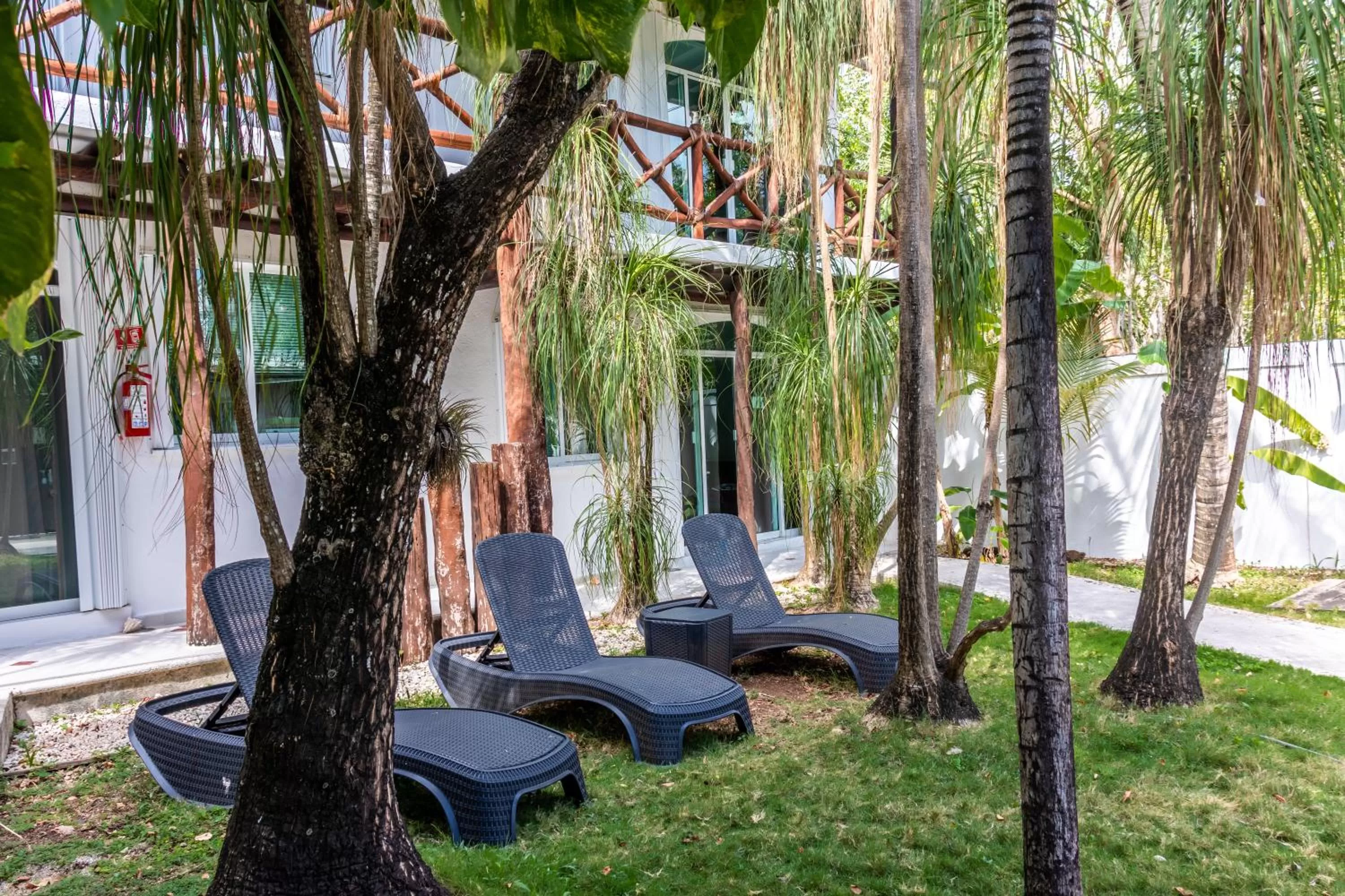 Patio in Apart Hotel Casaejido