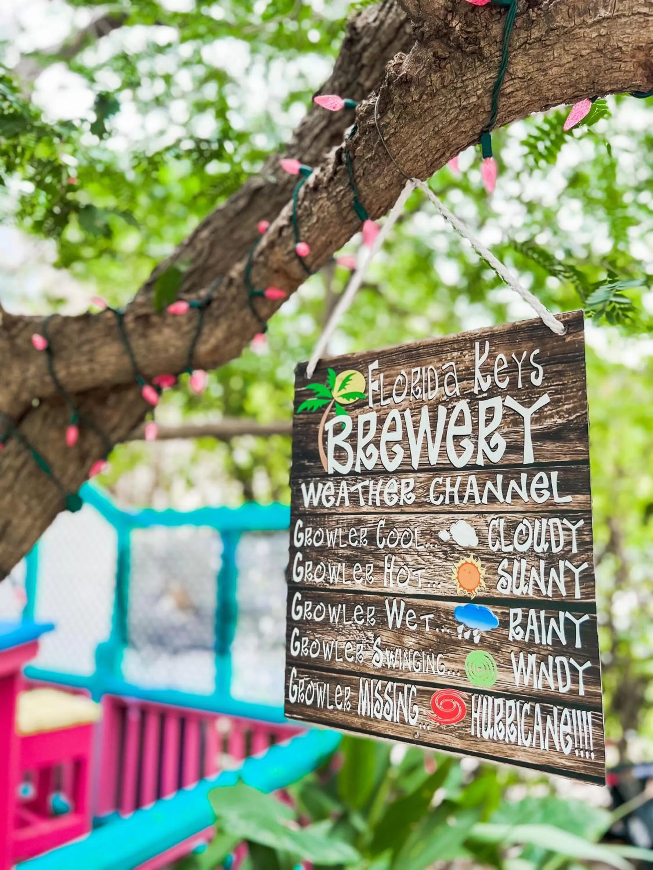 Area and facilities in Bayside Inn Key Largo