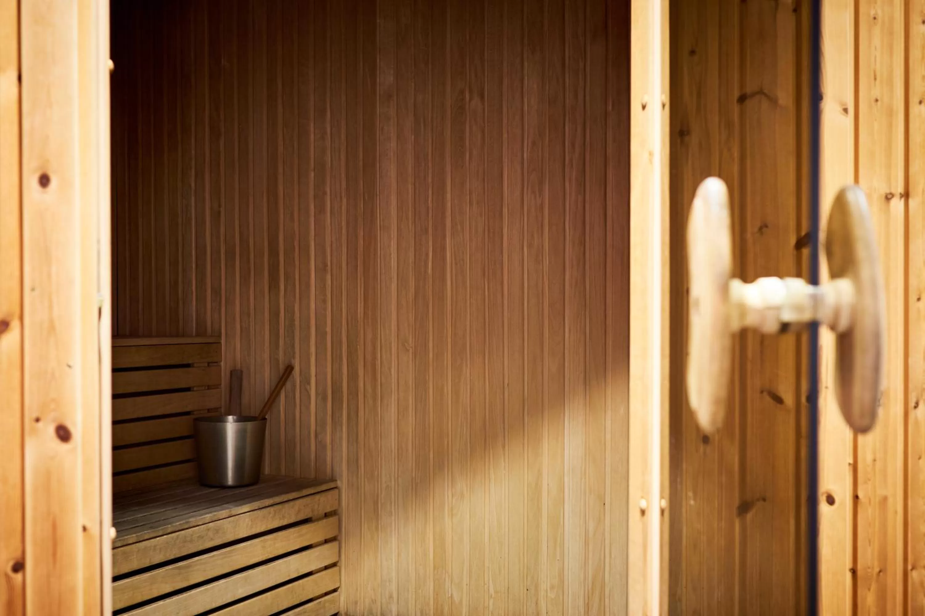 Sauna in Home Hotel Temperance
