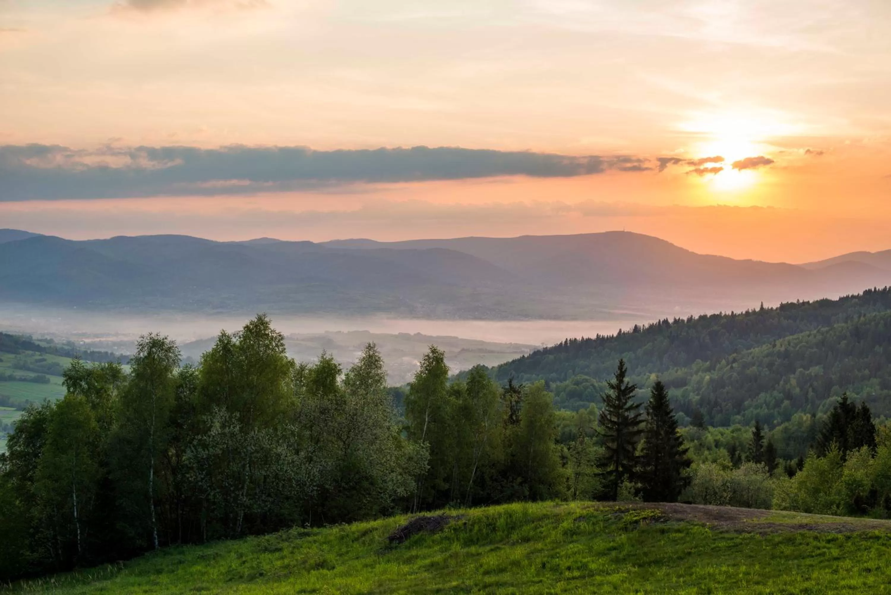 Spring in Hotel Żywiecki Medical SPA & Sport Żywiec