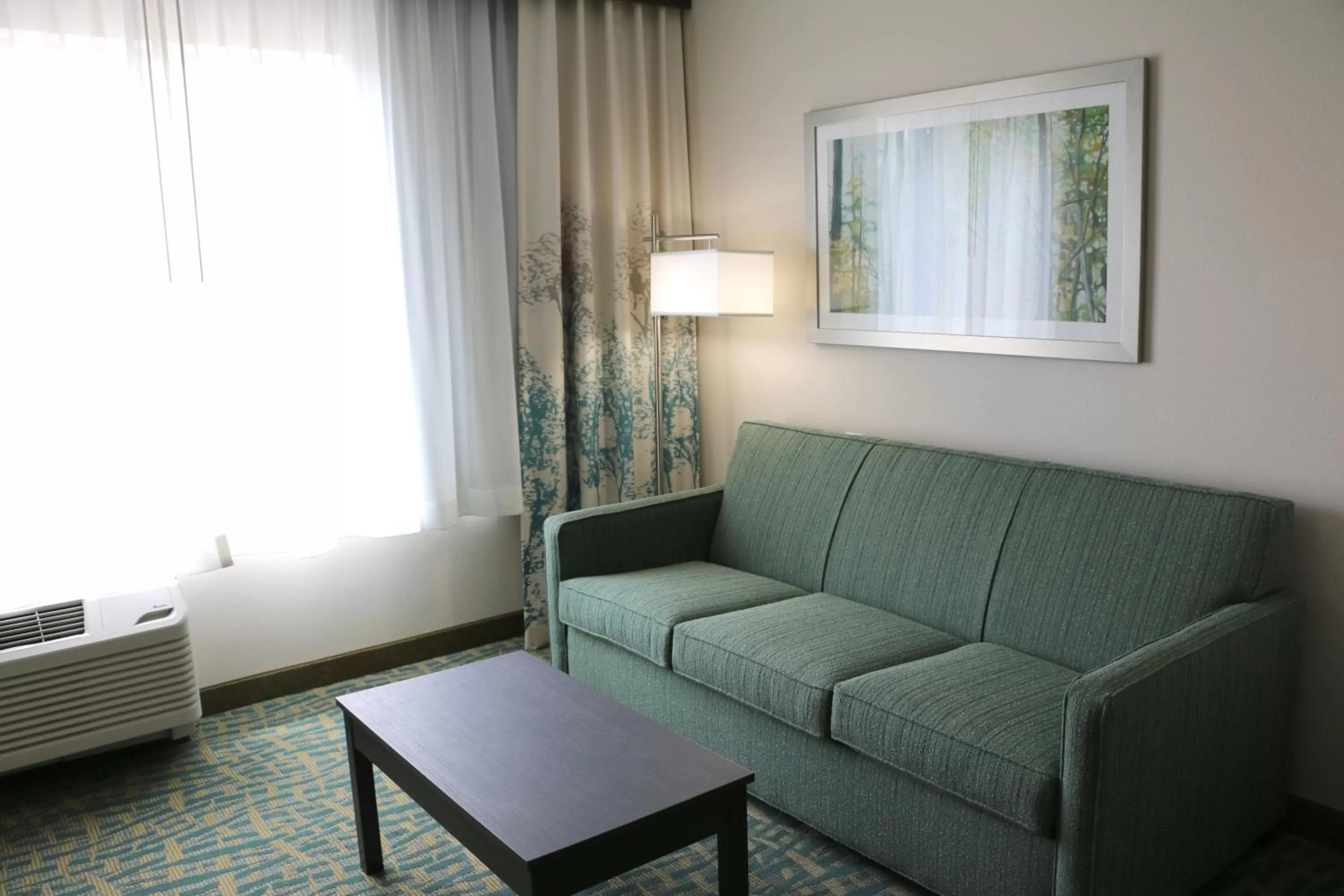 Photo of the whole room in Holiday Inn Express & Suites - Hendersonville SE - Flat Rock by IHG