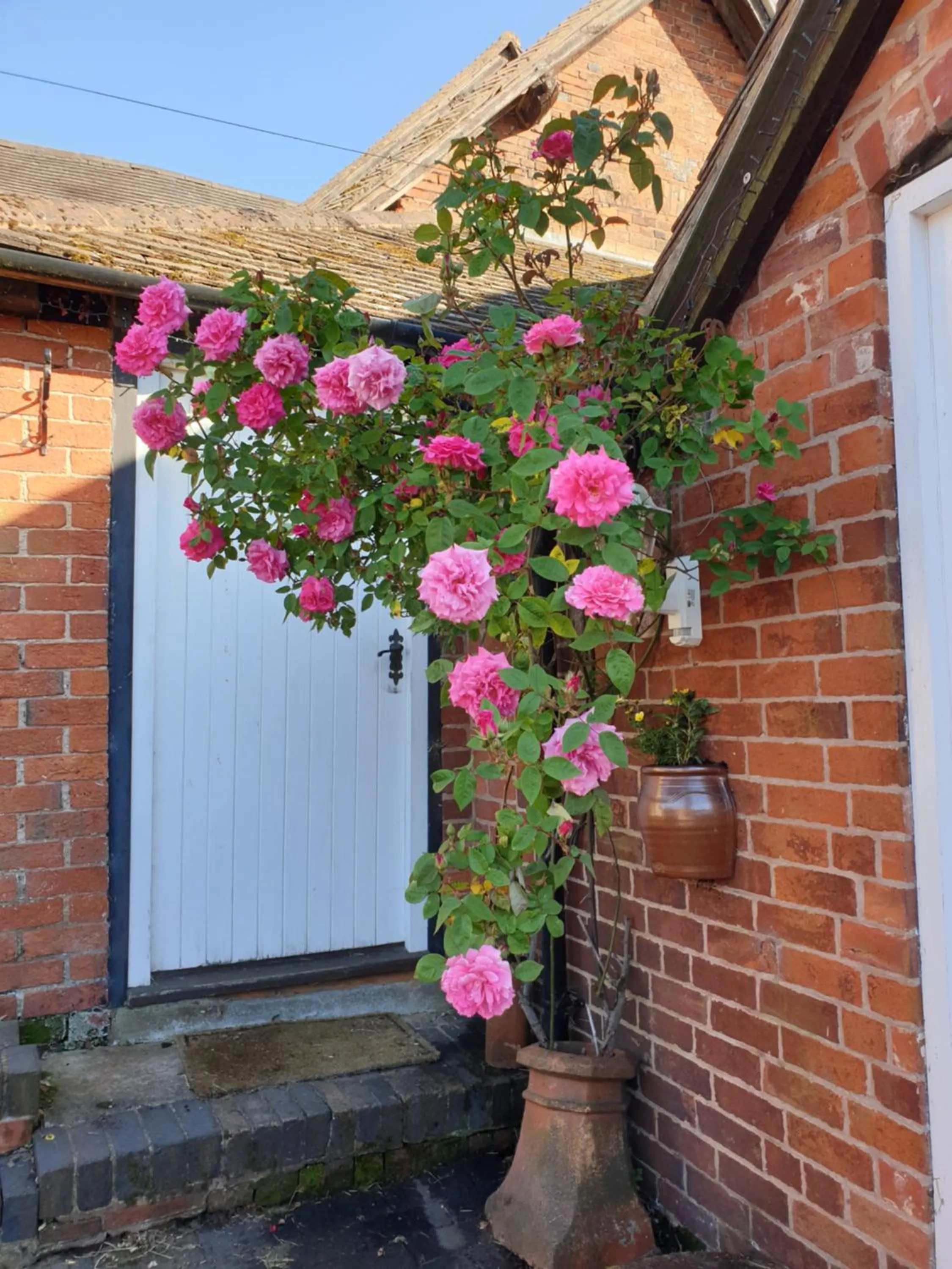 Spring in Church Farm Accommodation