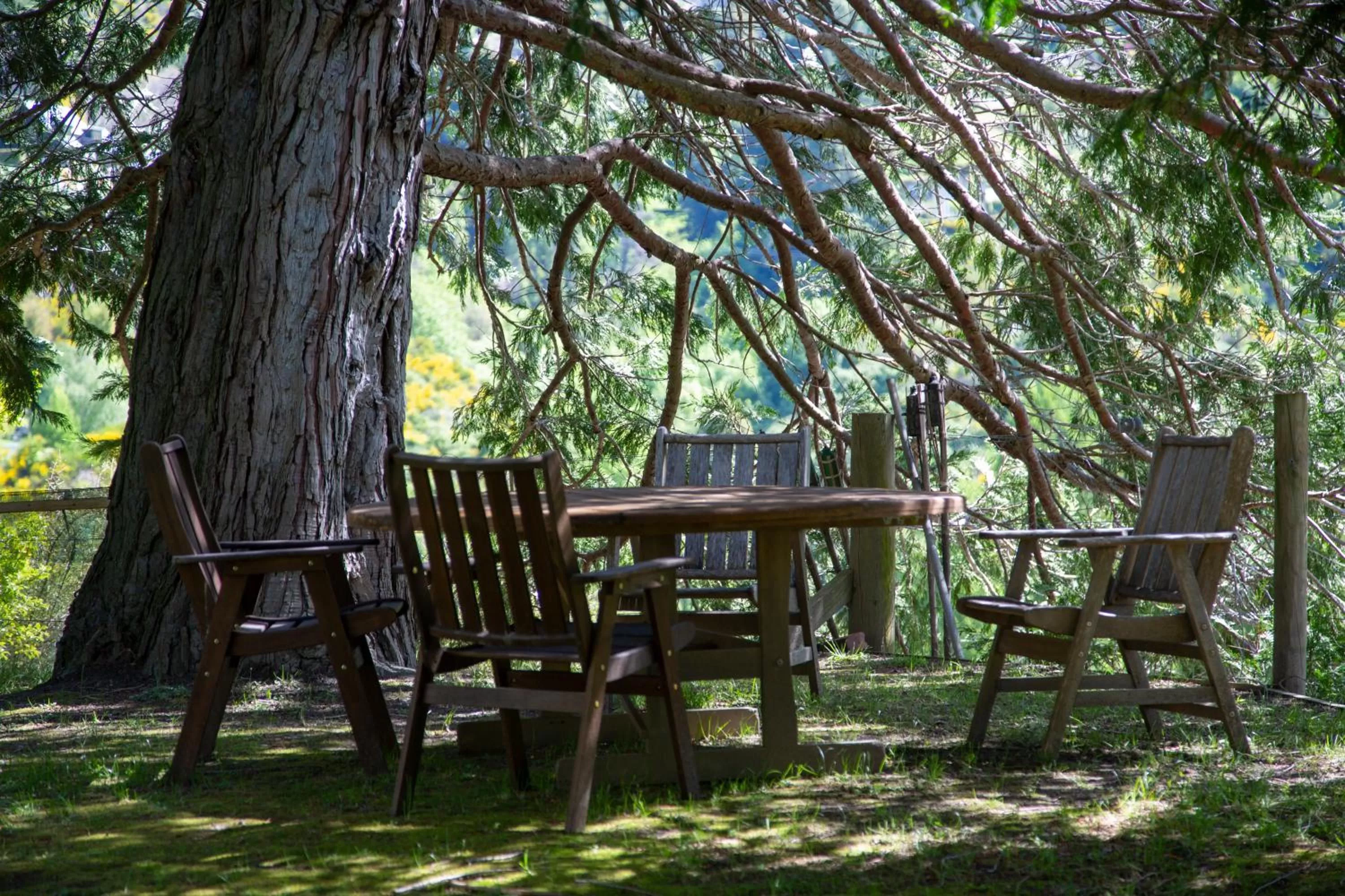 Area and facilities in Trelawn Place