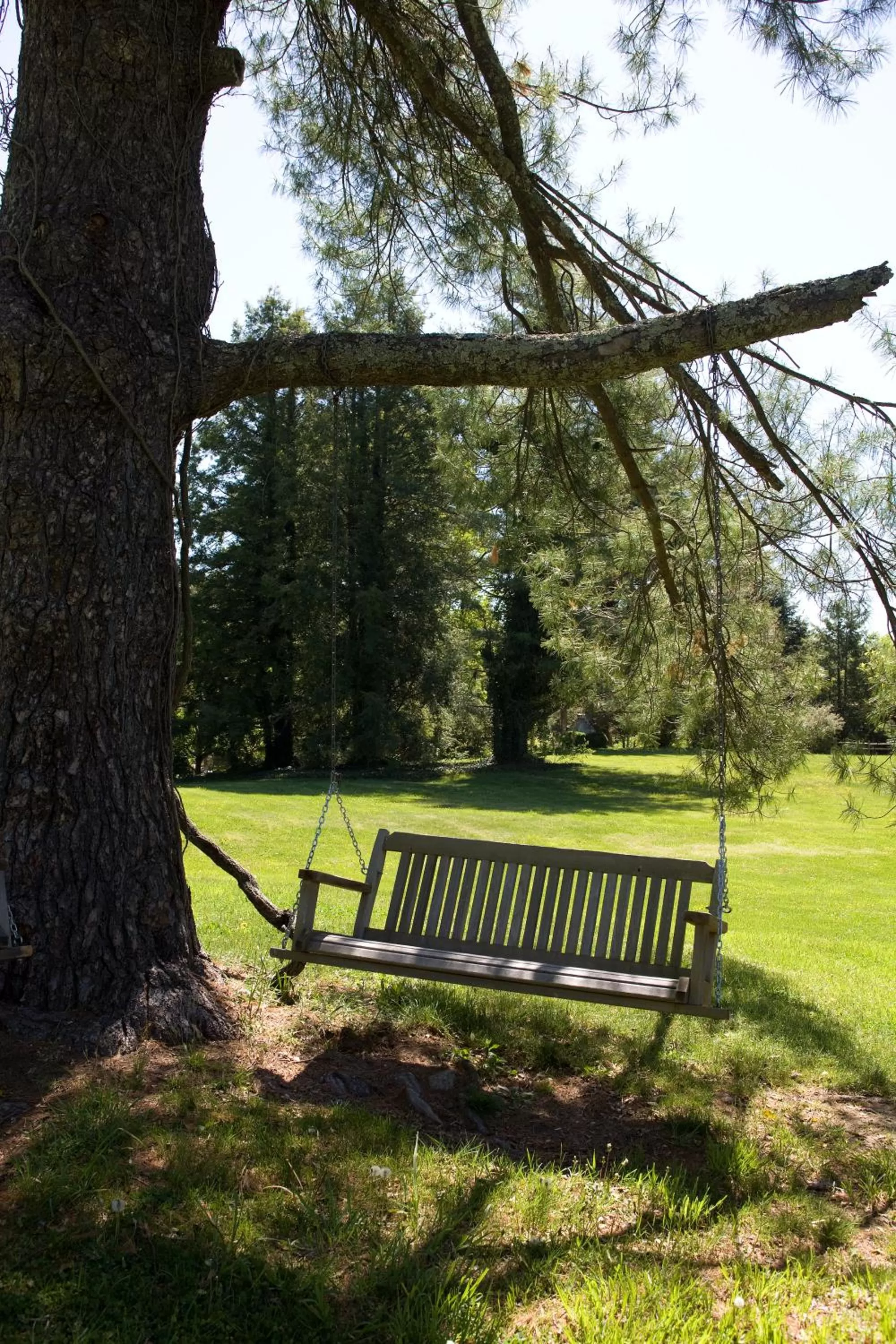 Area and facilities in Highland Lake Inn & Resort - Flat Rock