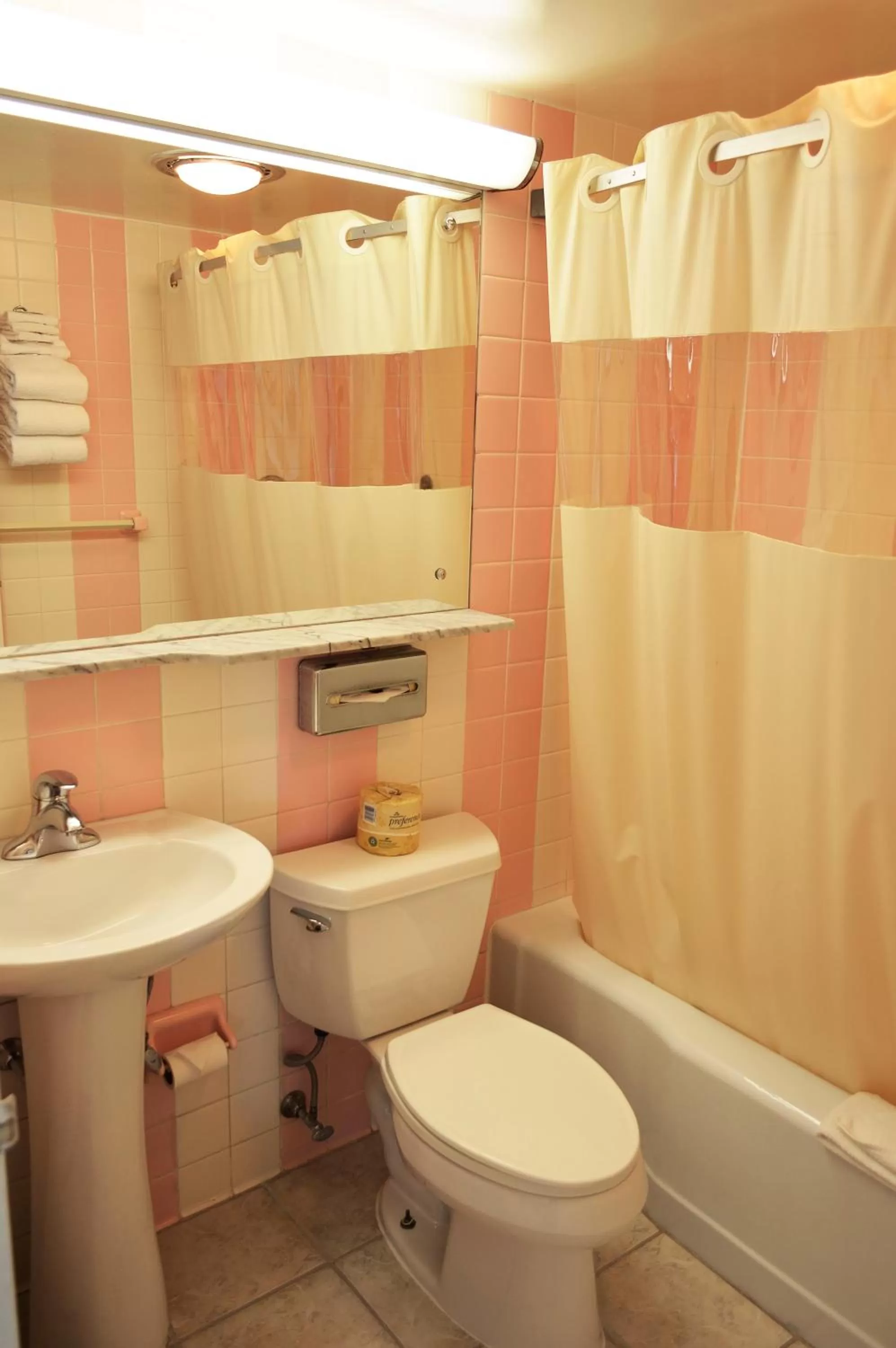 Bathroom in Huntingdon Motor Inn