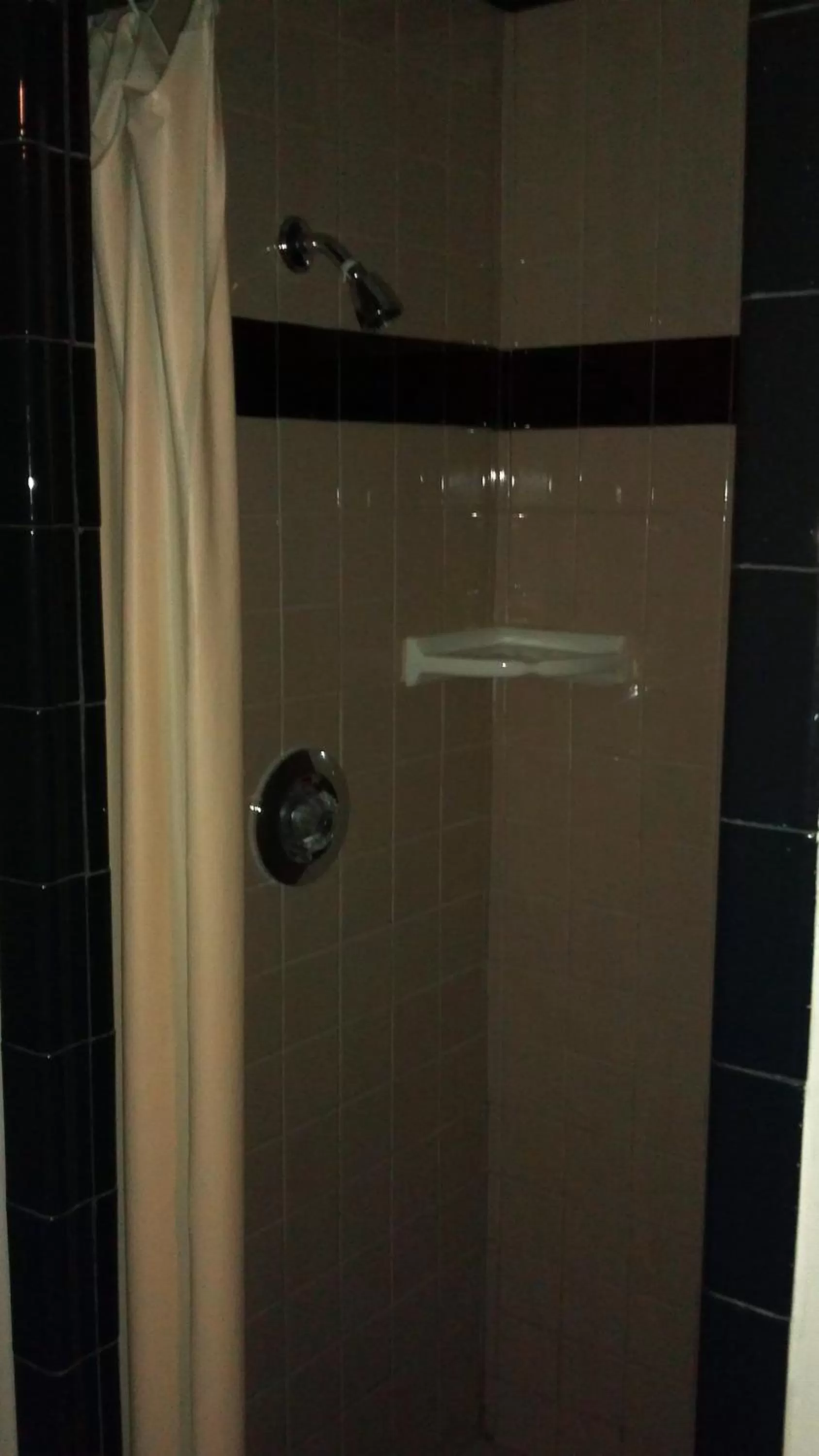 Bathroom in Travel Eagle Inn Motel