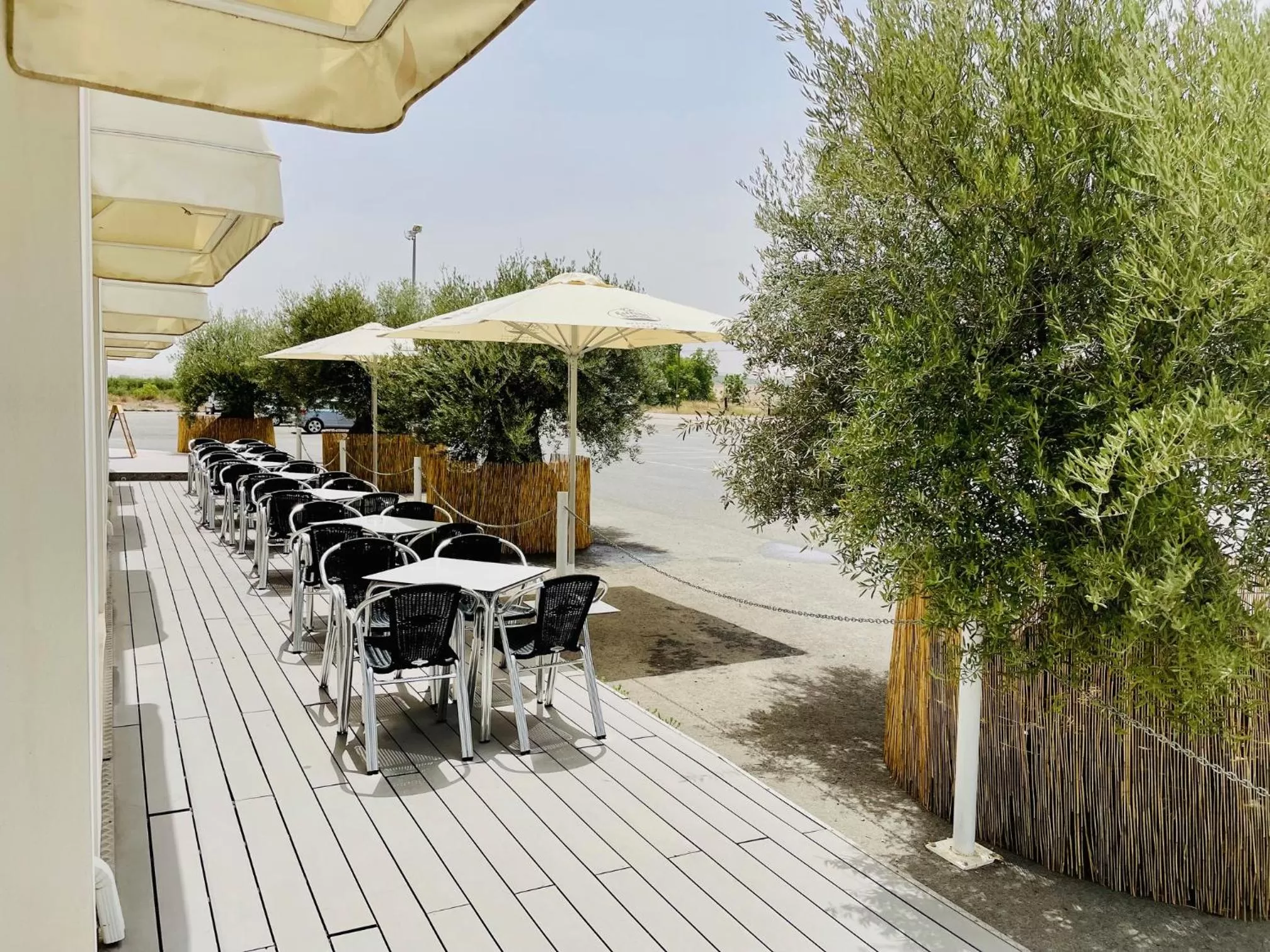 View (from property/room) in Hotel Los Manjares