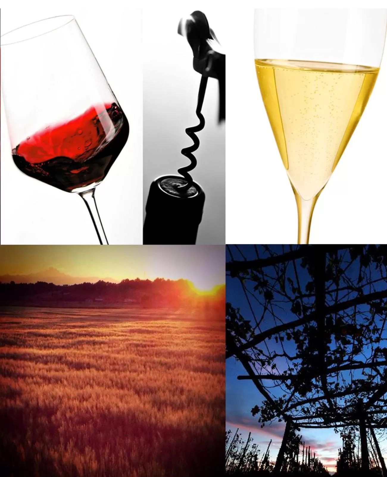 Alcoholic drinks in MARSAM locanda