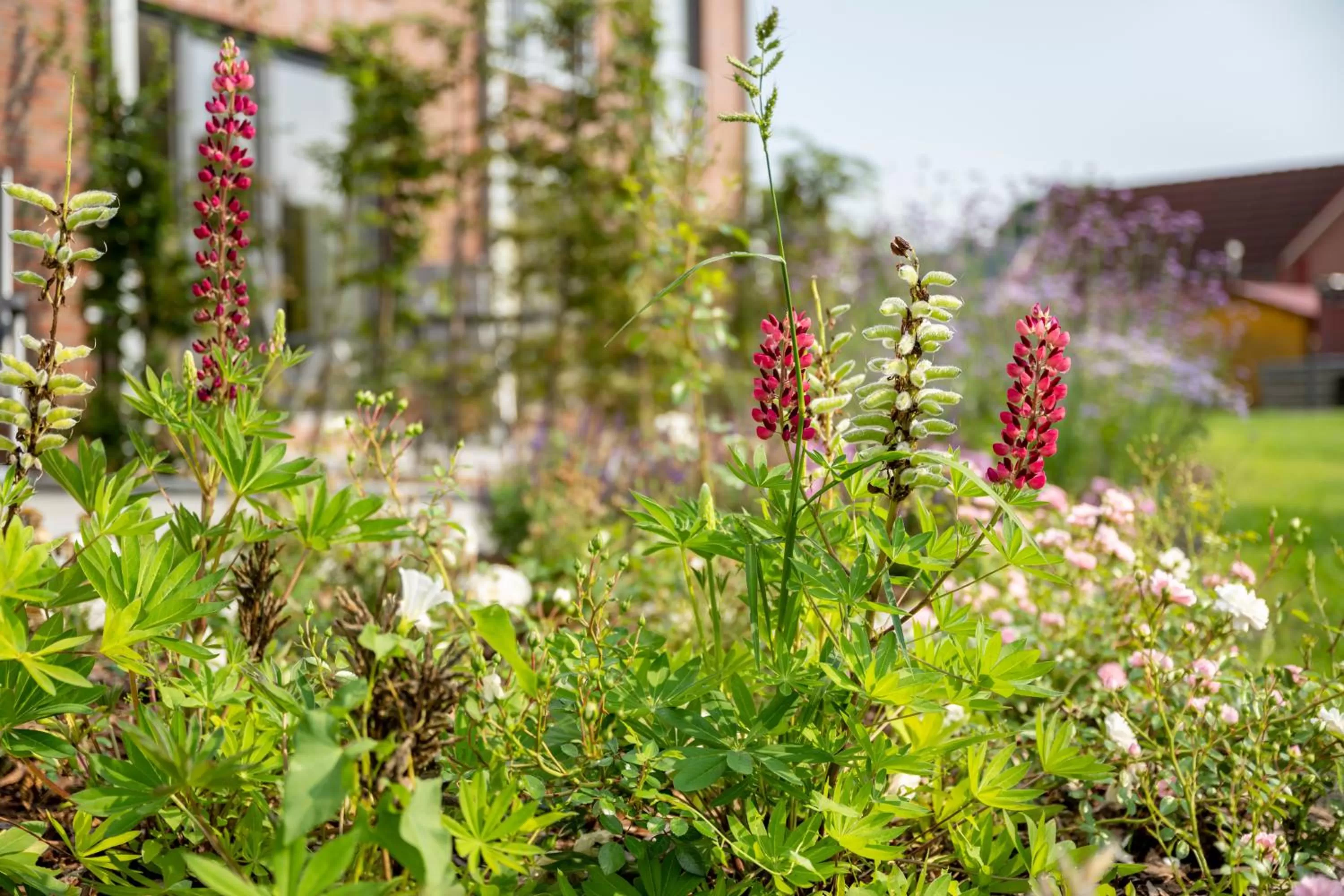 Property building in Köhlers Forsthaus Wellness & Genuss Hotel