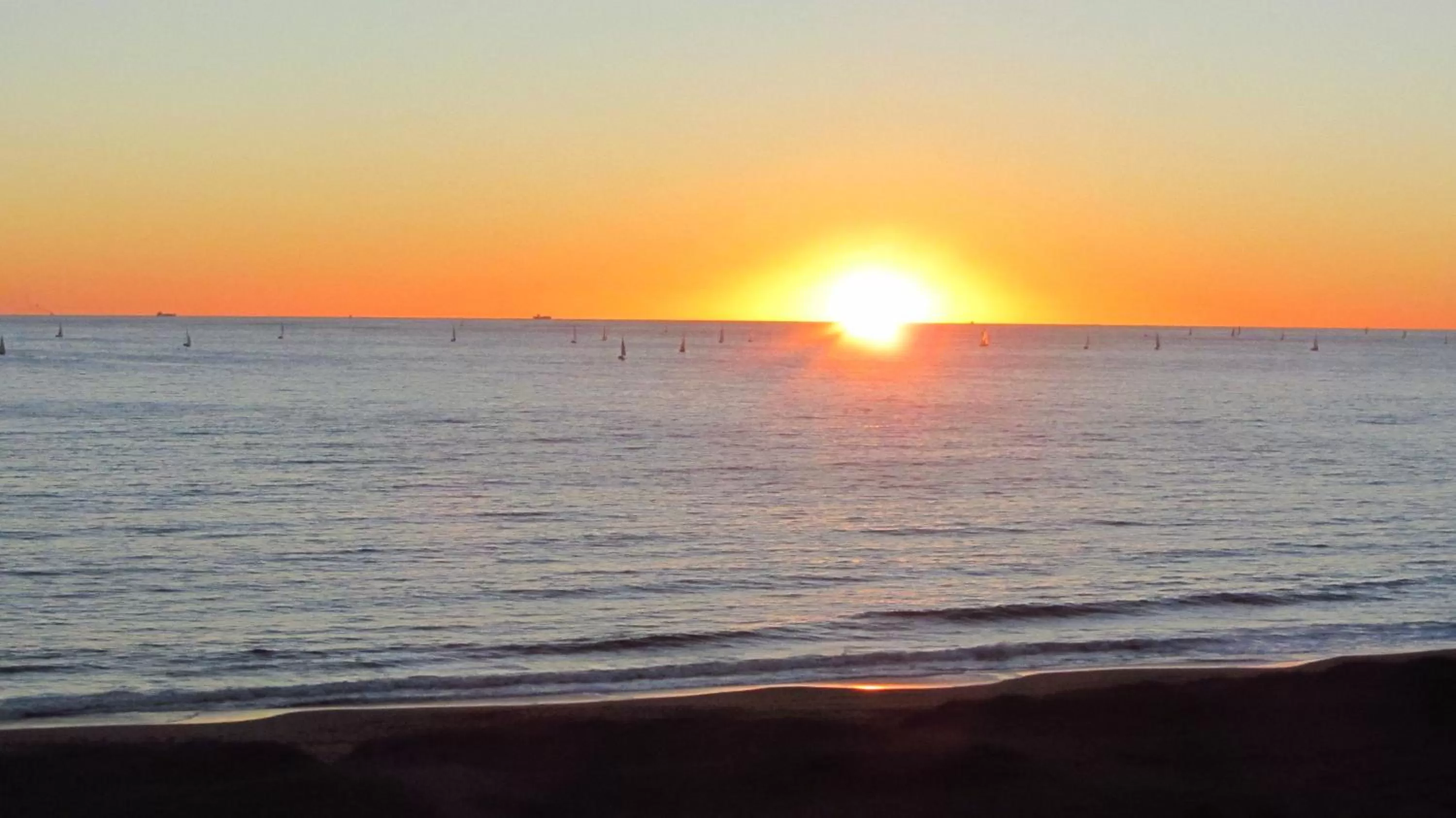 View (from property/room) in BDA Hotel & Spa