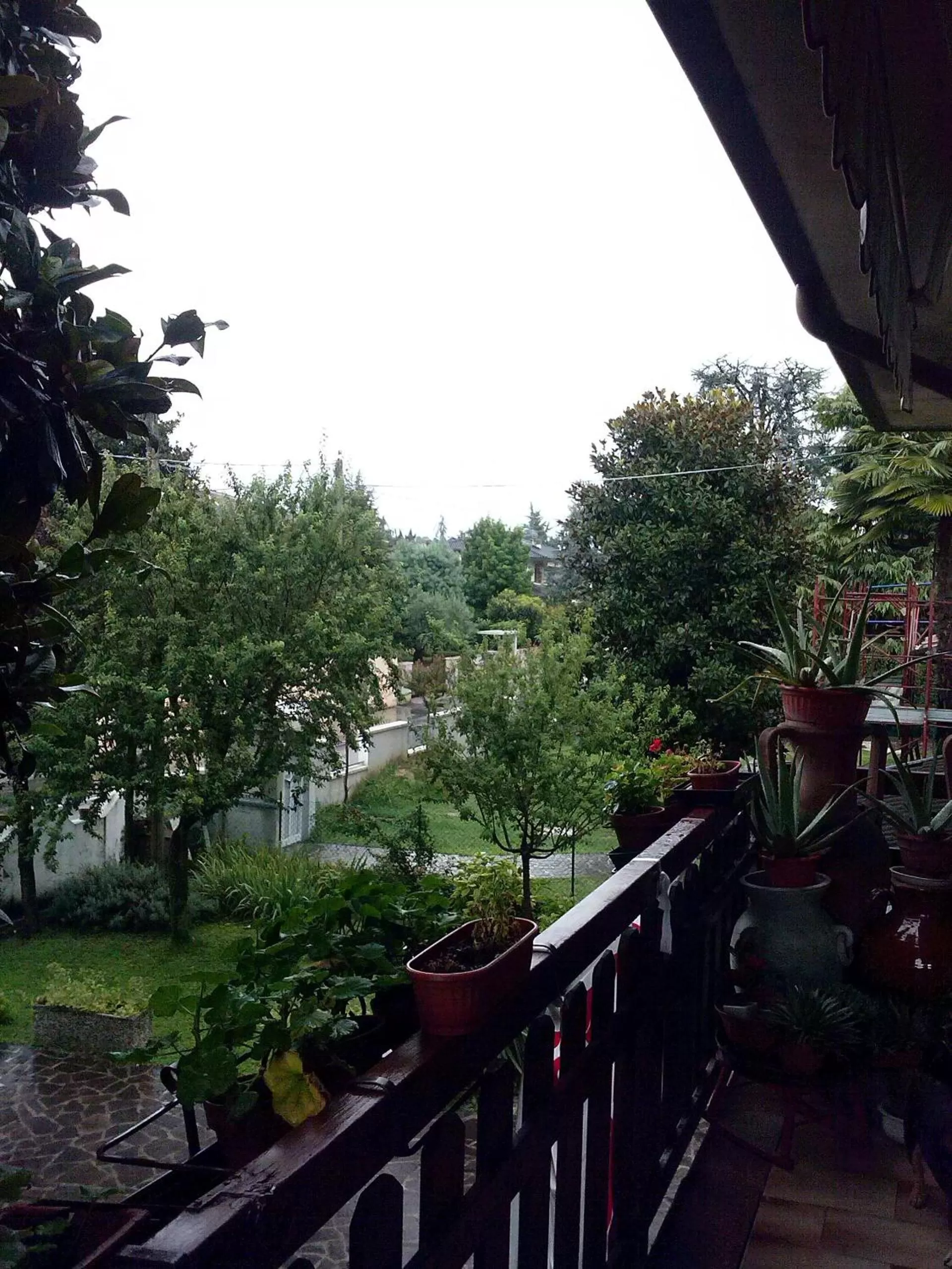 Garden in Casa Irene