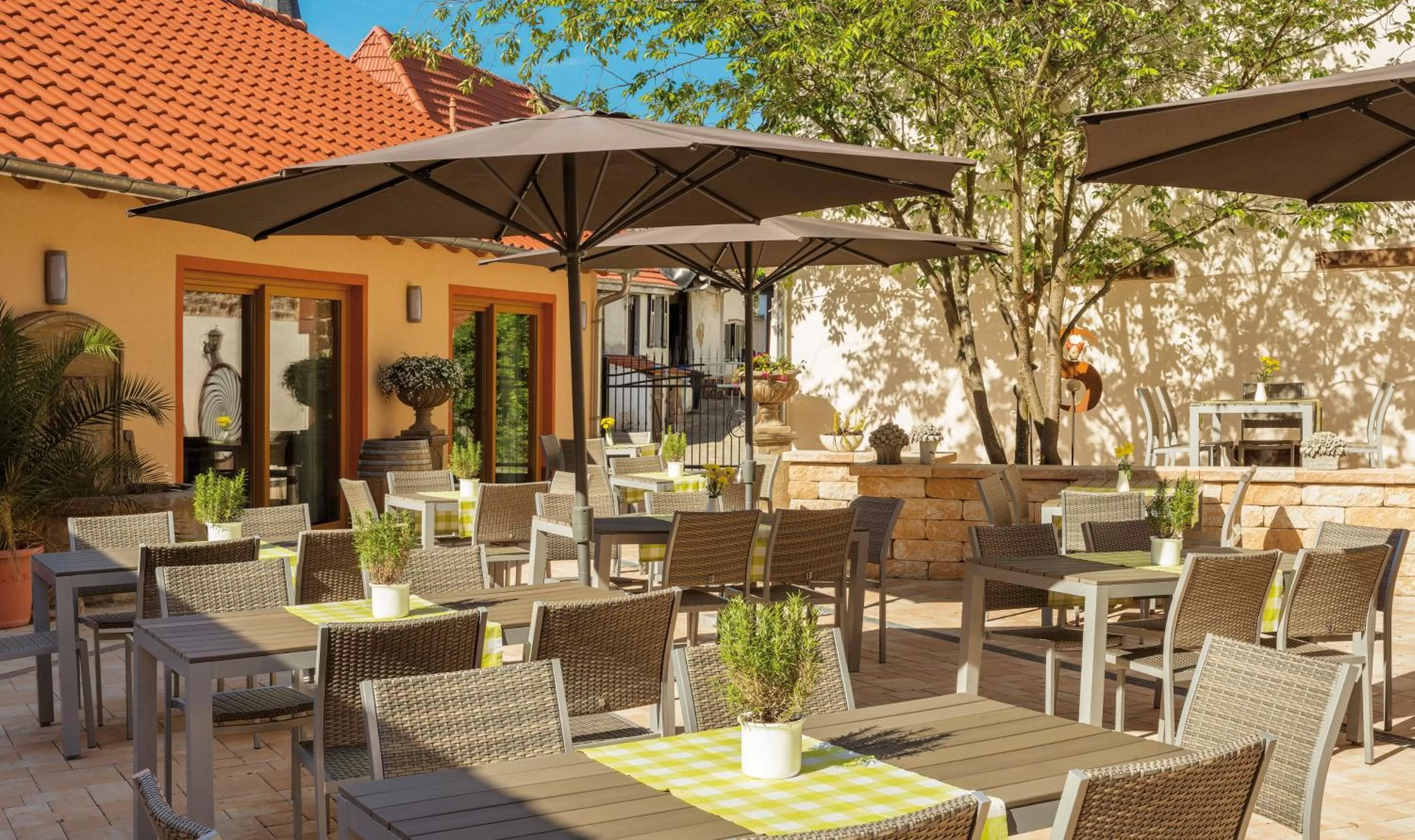 Patio in Pfalzhotel Asselheim