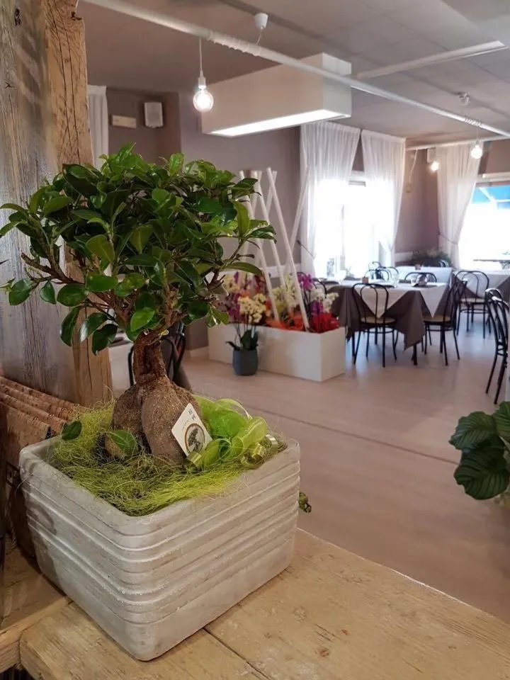 Restaurant/places to eat in Hotel Serena