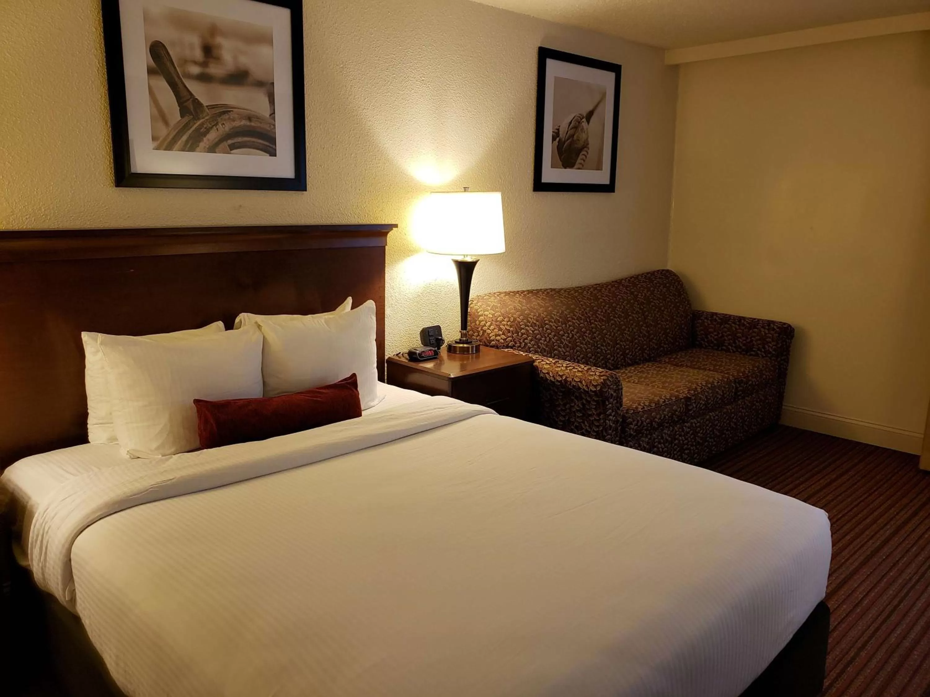 Queen Room with Roll in Shower  in Best Western Merry Manor Inn