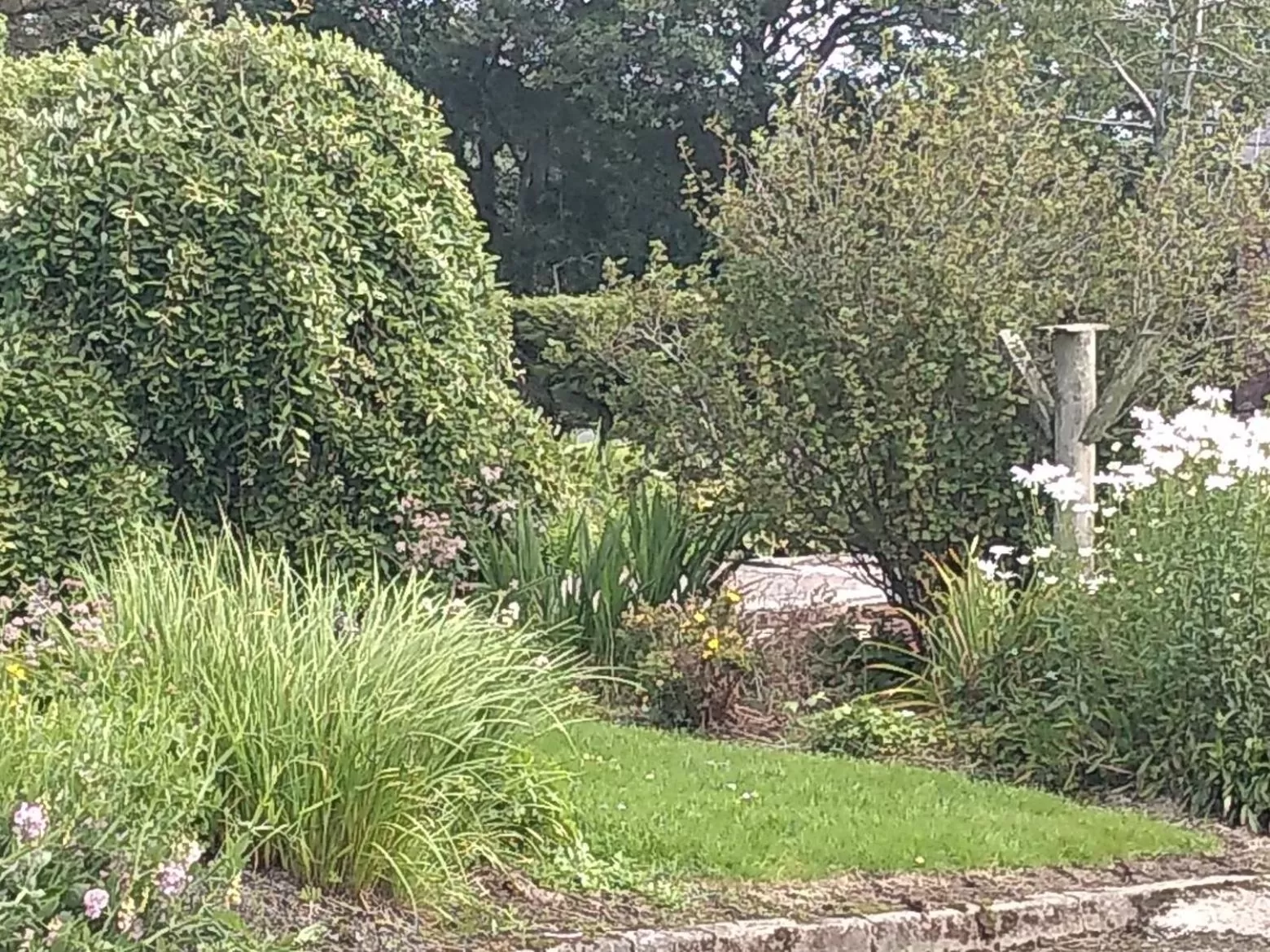 Garden view, Garden in The Crossings